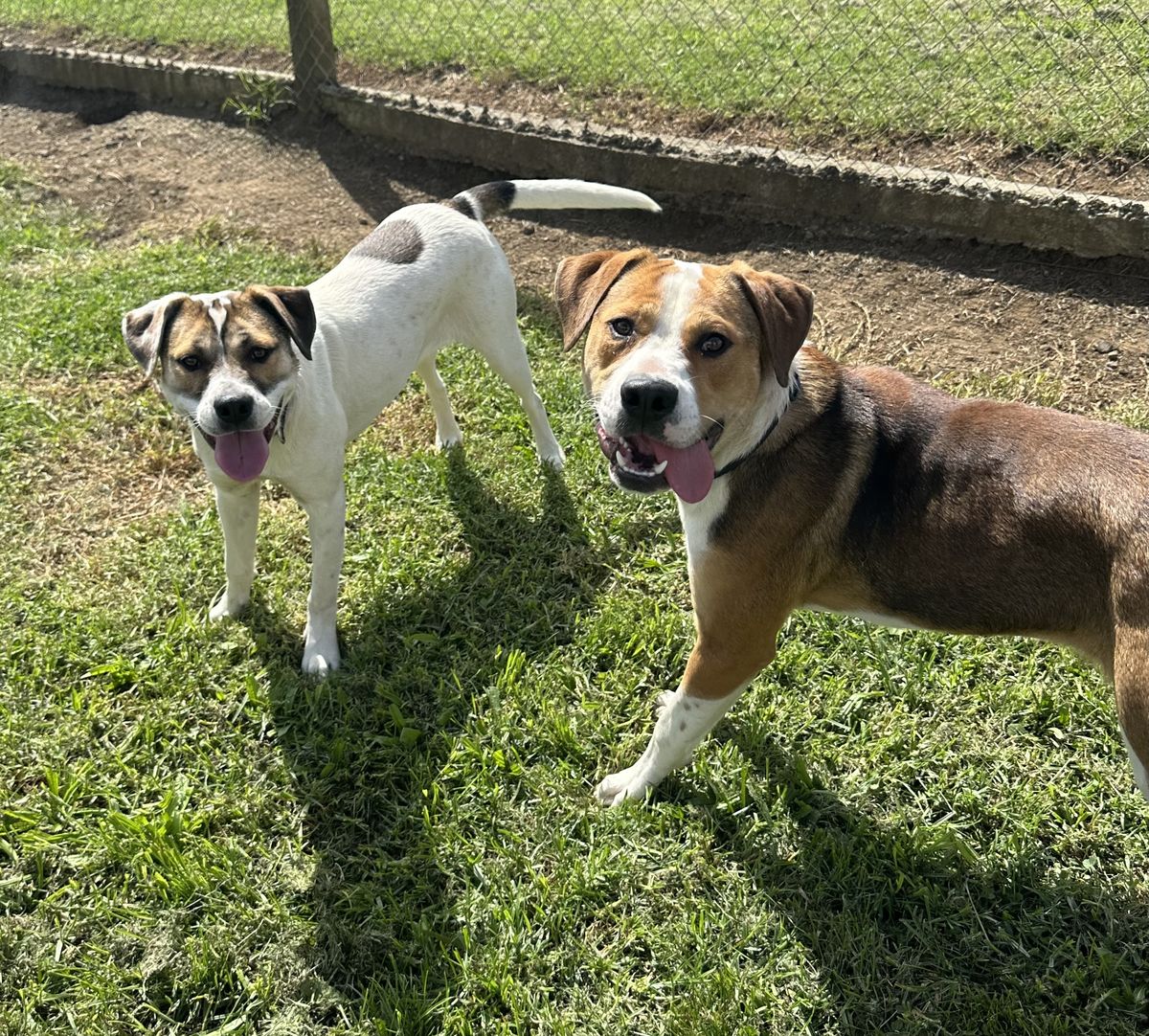 Gallery image: Murphy