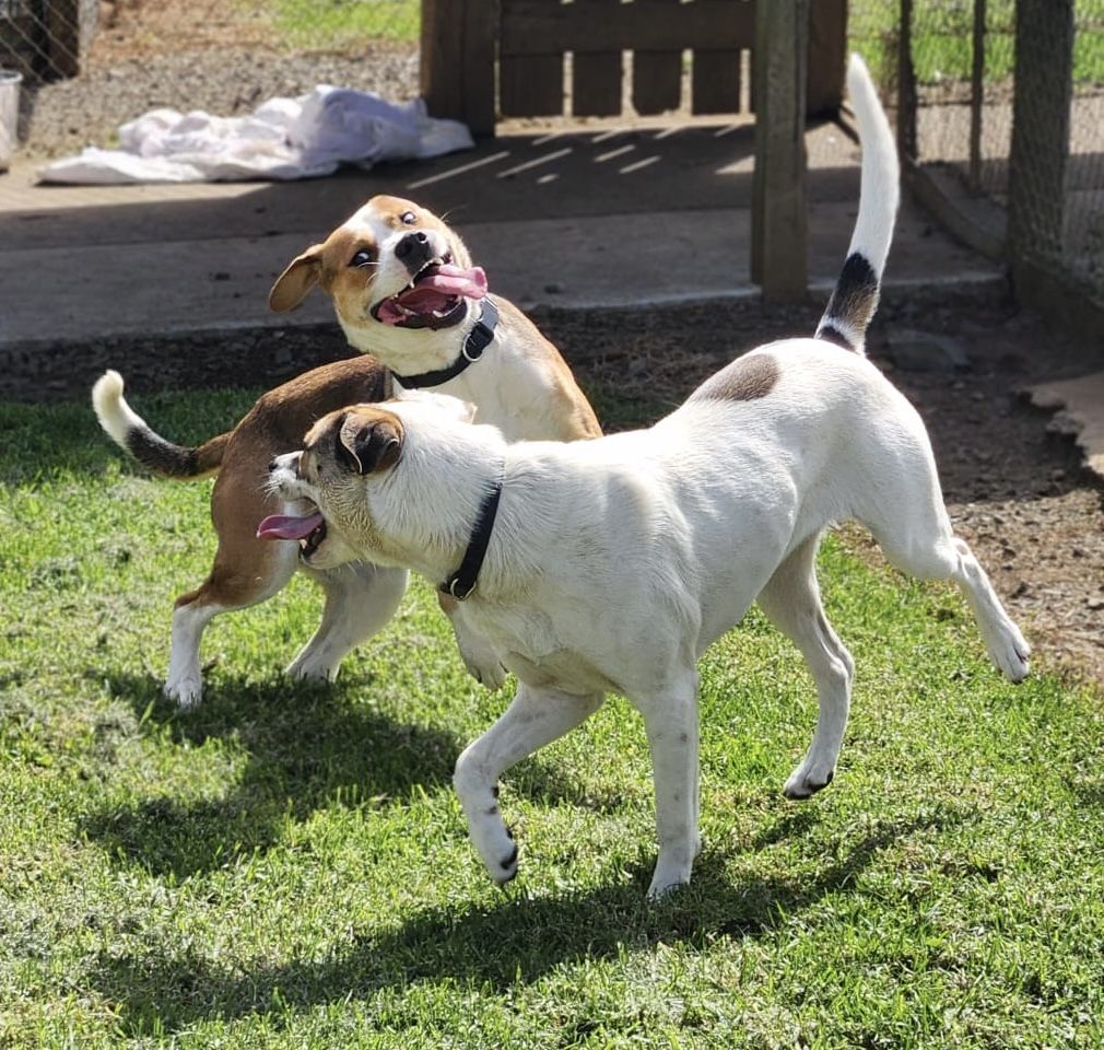 Gallery image: Murphy