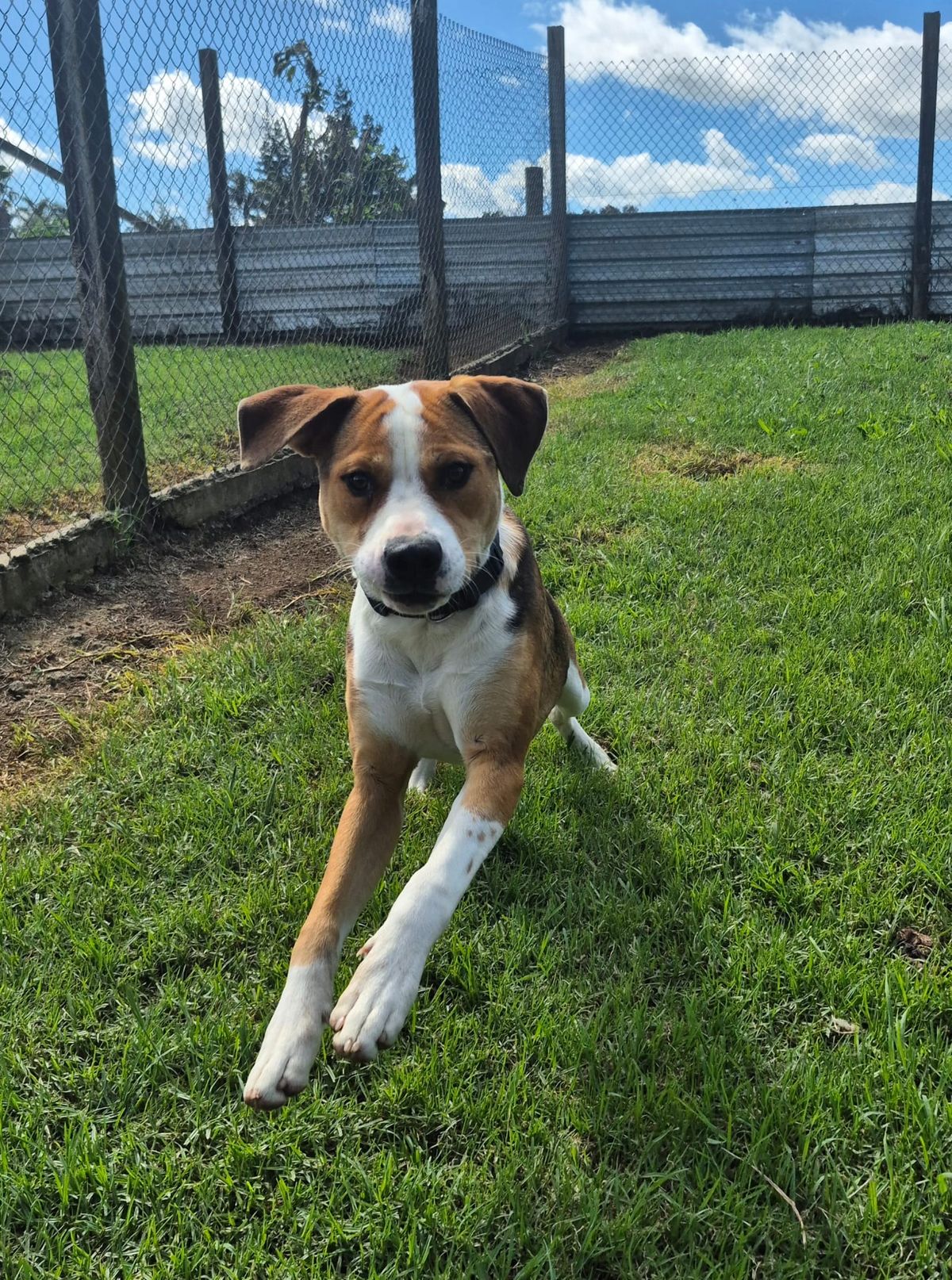 Gallery image: Murphy