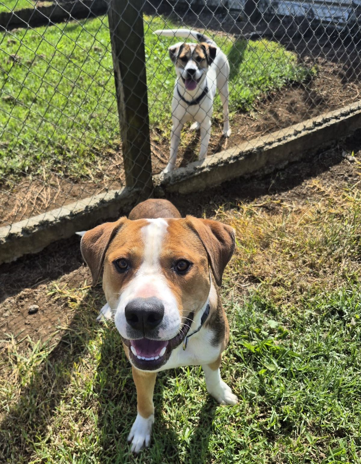 Gallery image: Murphy