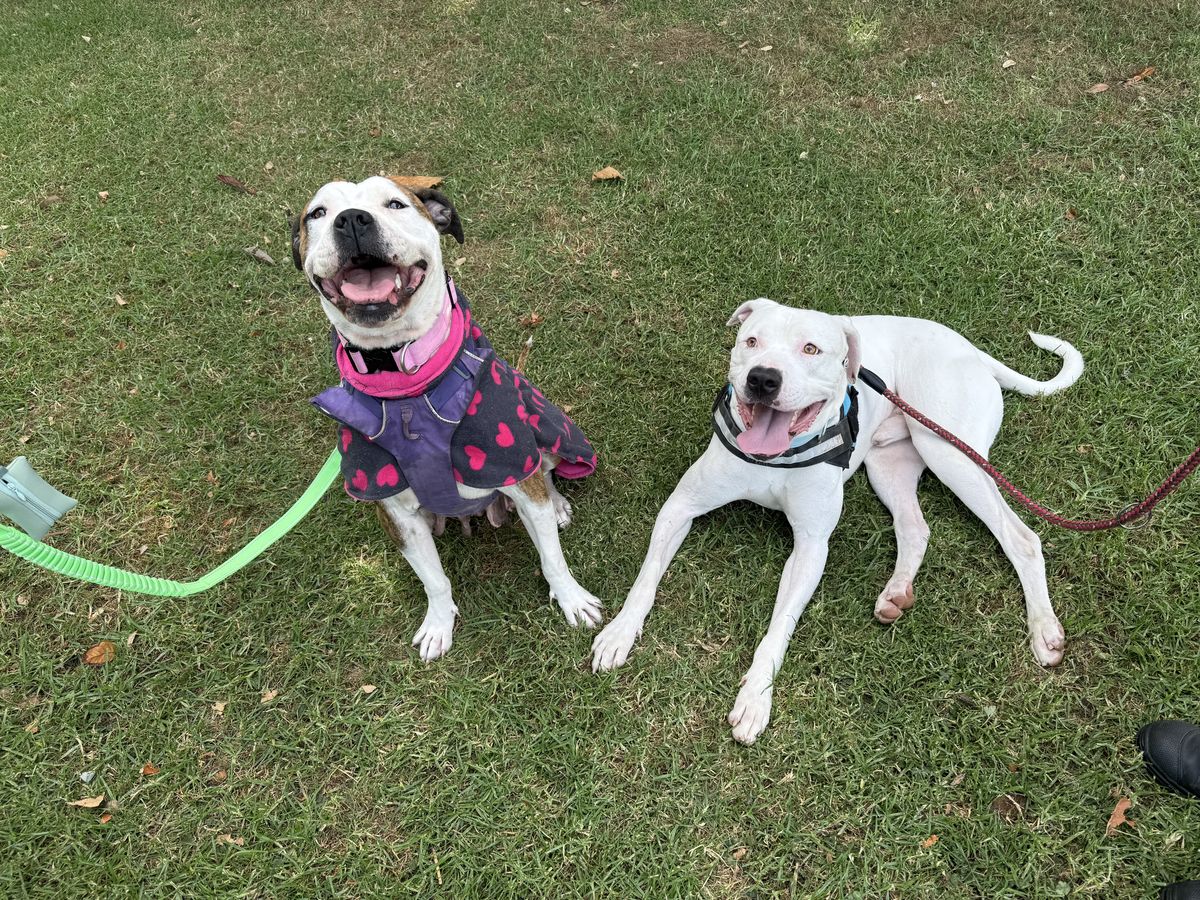 Gallery image: Cooper