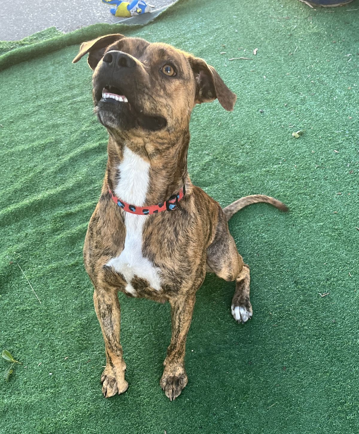 Gallery image: Honey