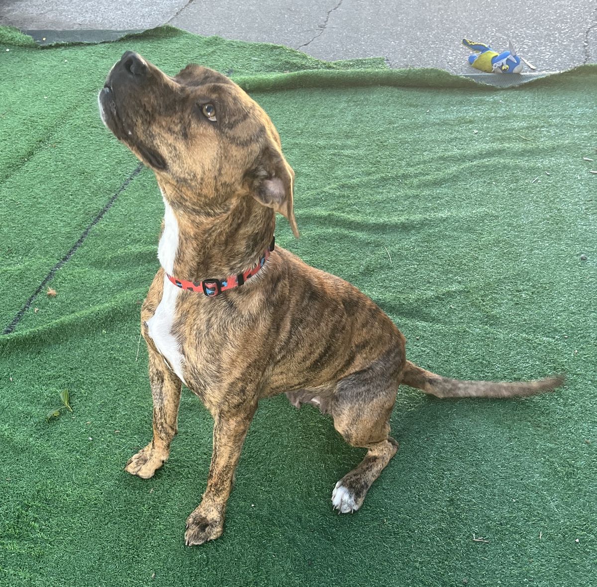 Gallery image: Honey