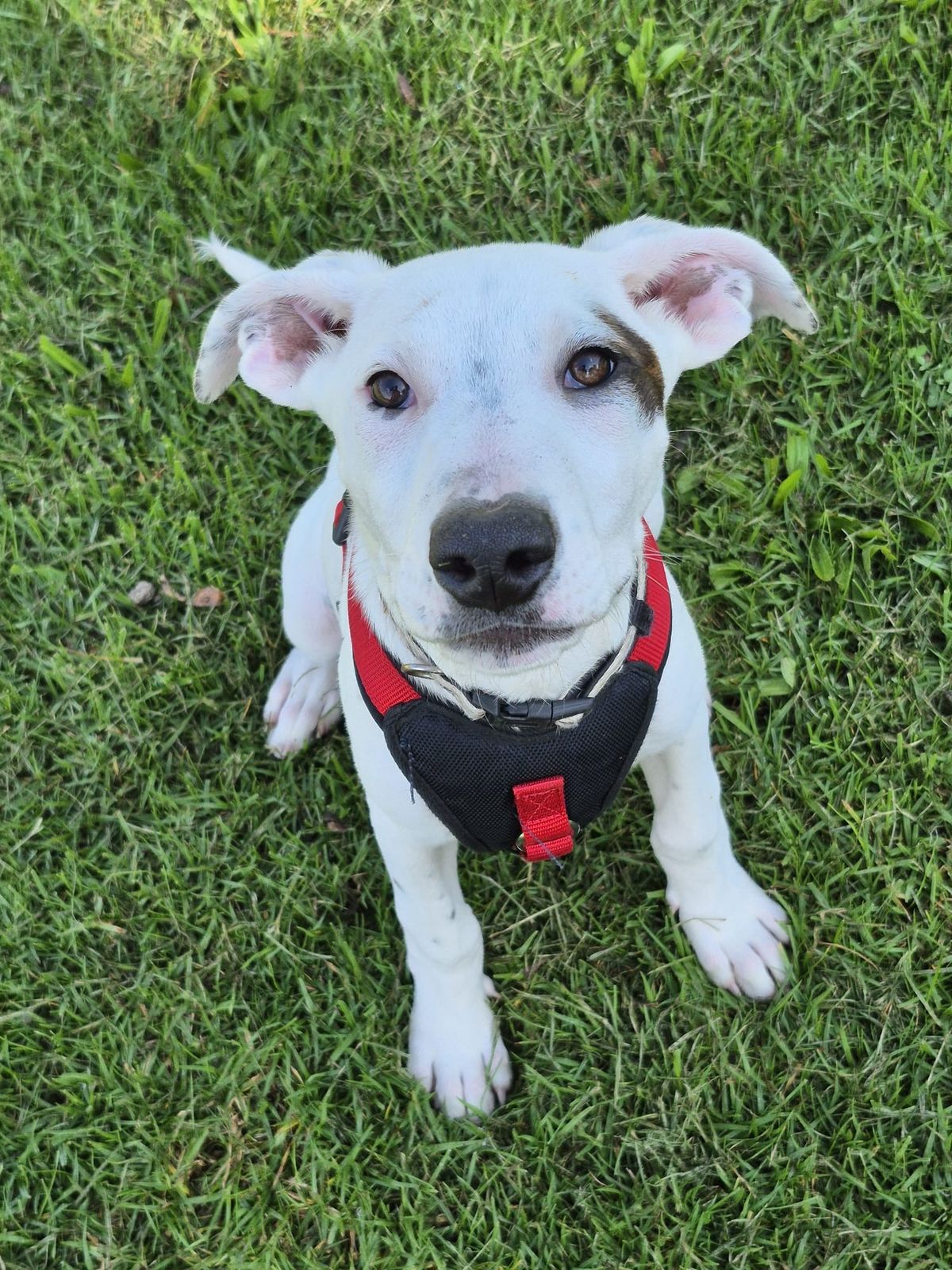 Gallery image: Syrup