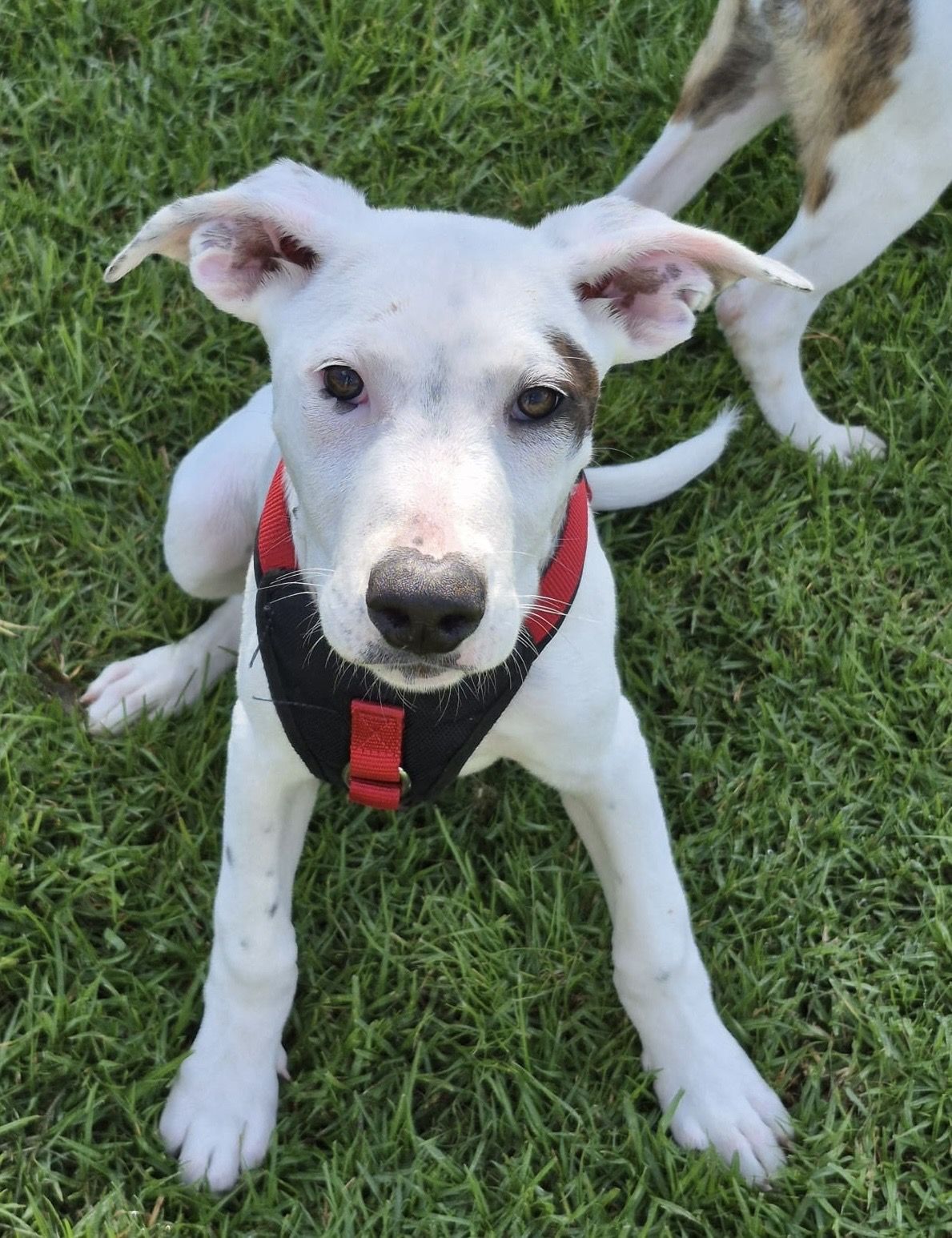 Gallery image: Syrup