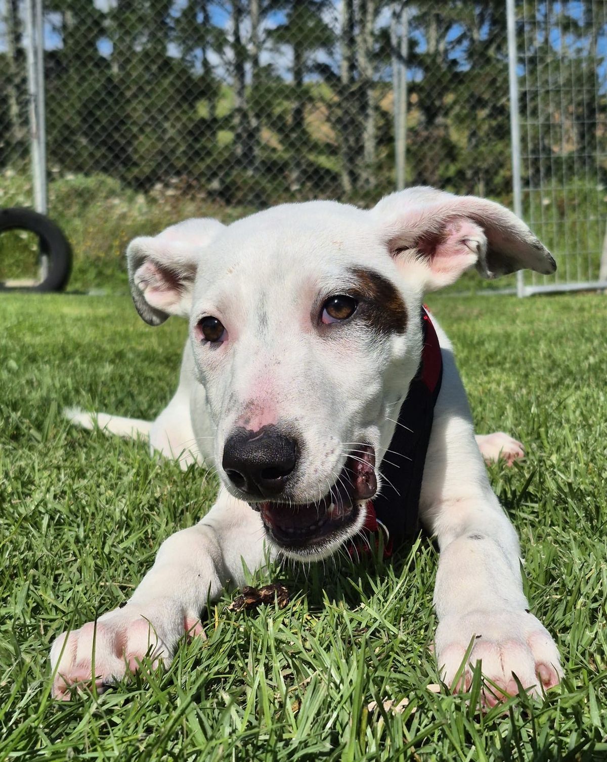 Gallery image: Syrup