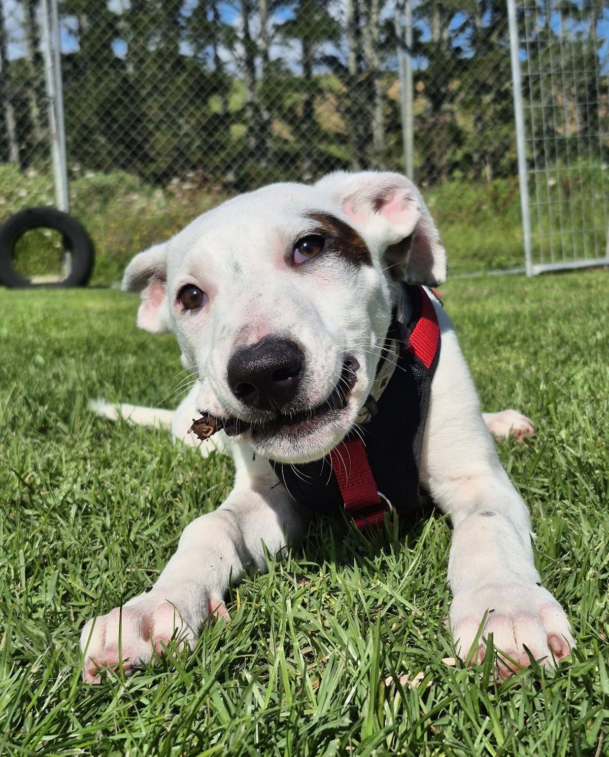 Gallery image: Syrup