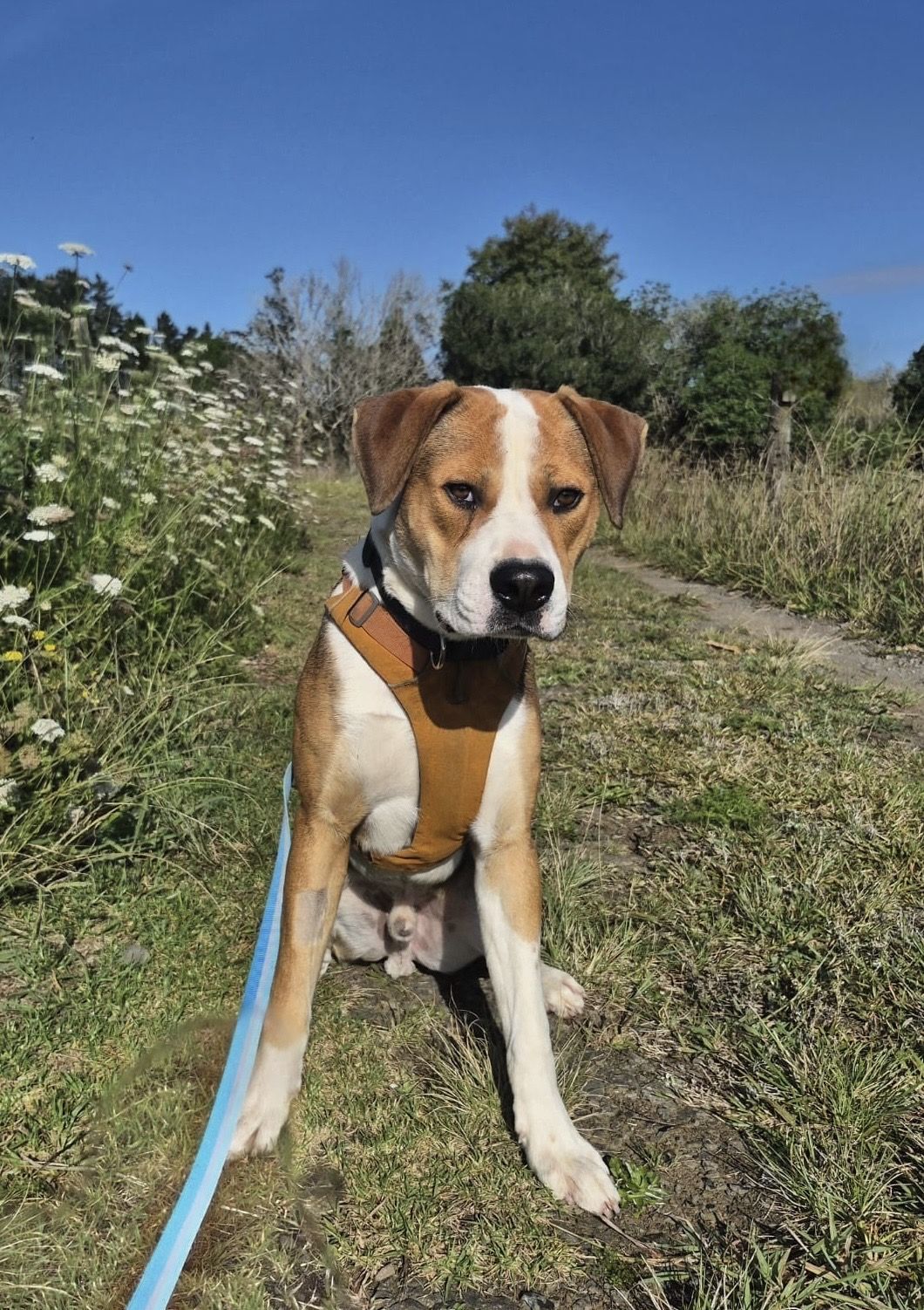 Gallery image: Murphy