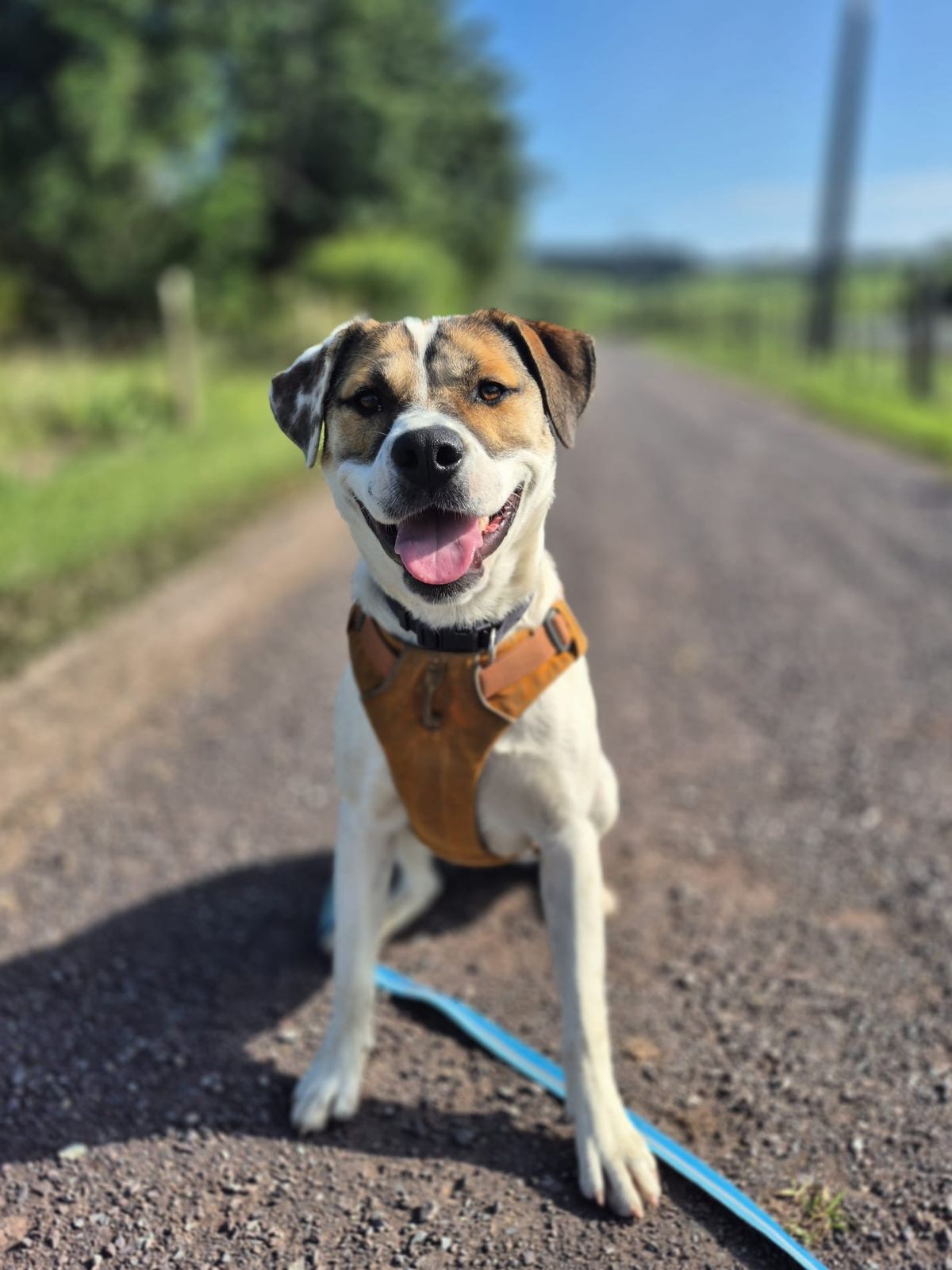 Gallery image: Marley