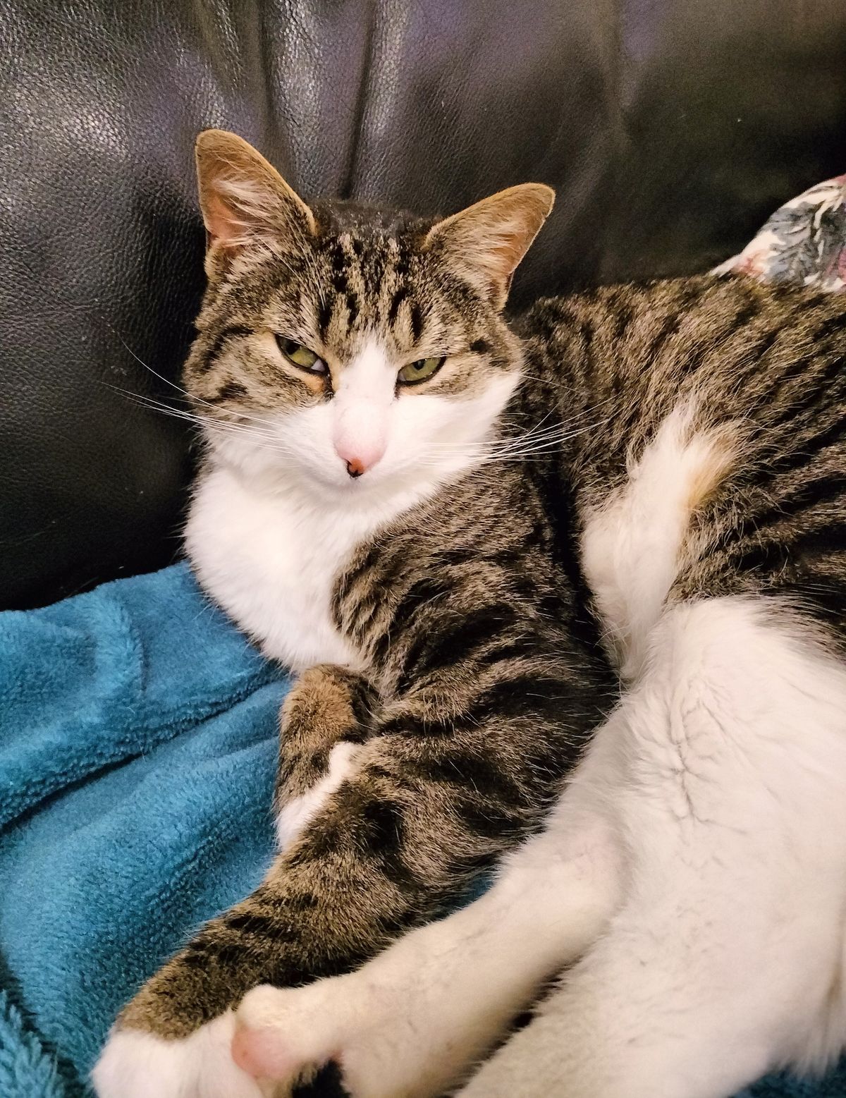 Gallery image: Jasari