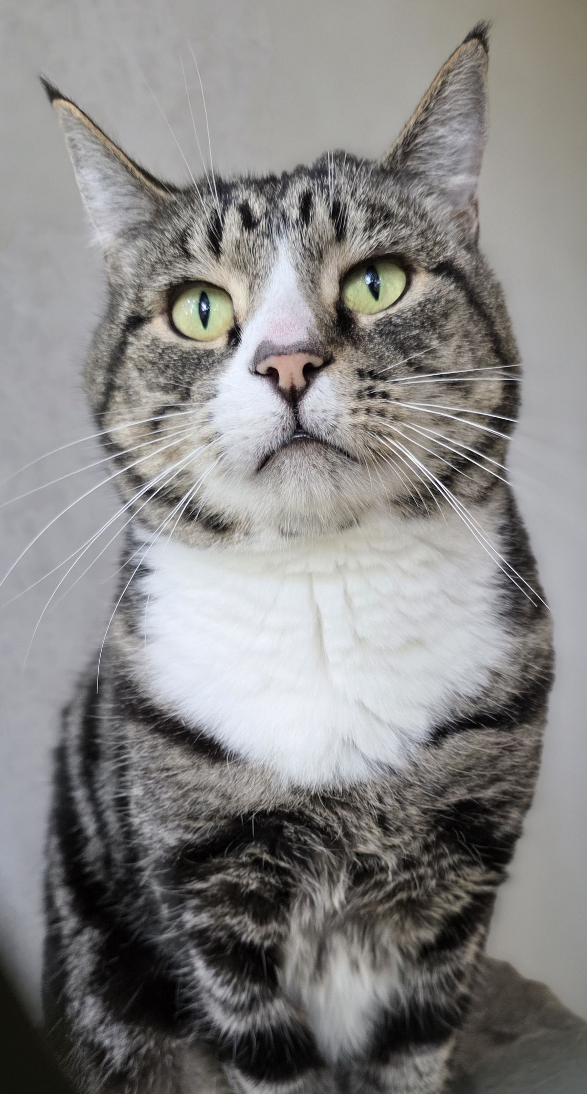 Gallery image: Rumble