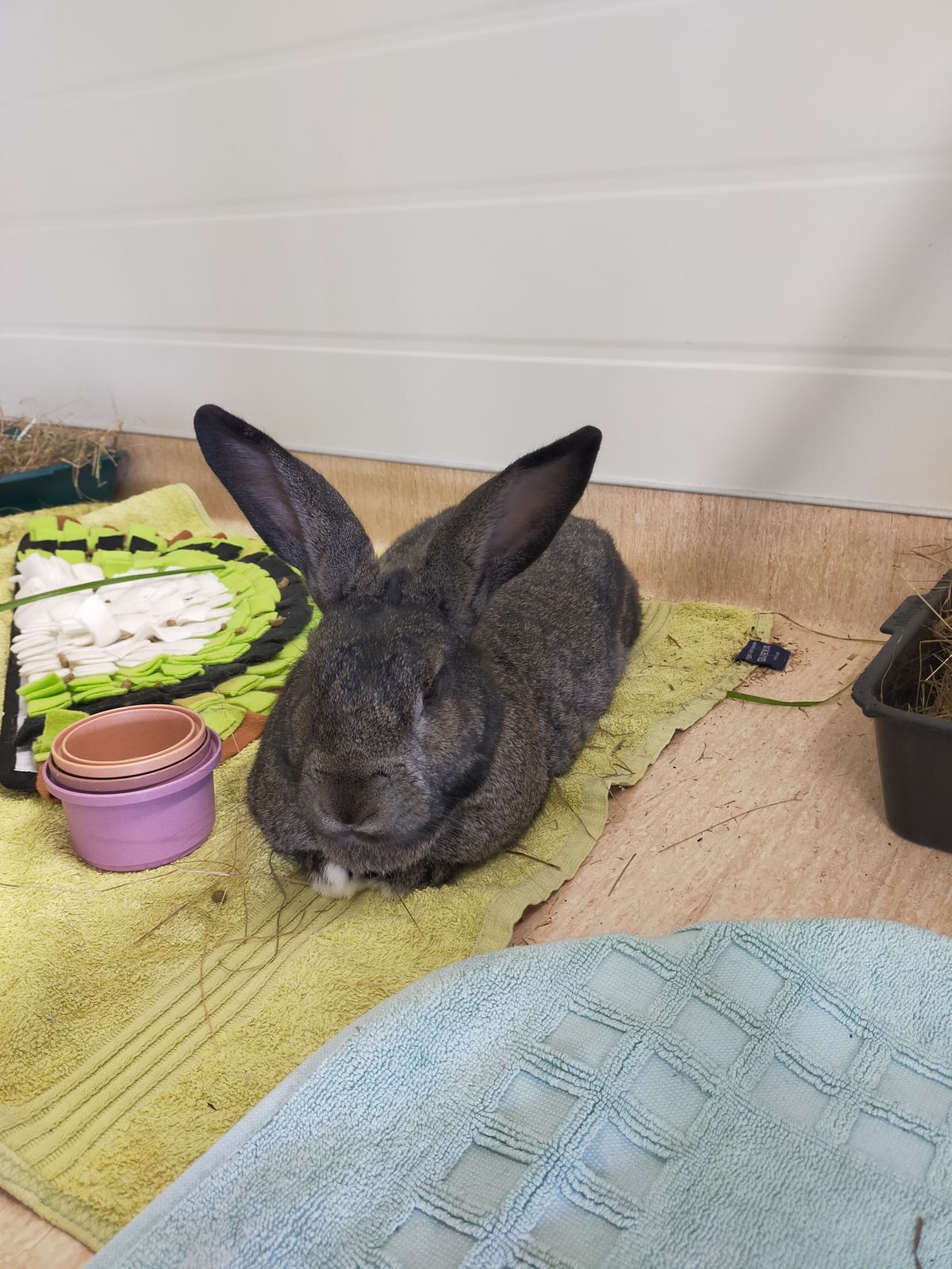 Gallery image: Benjamin