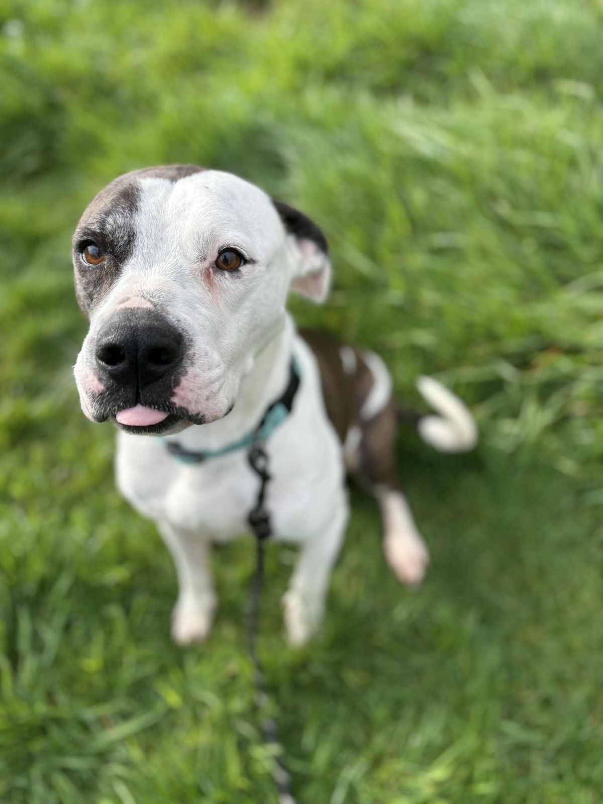 Gallery image: Haiden