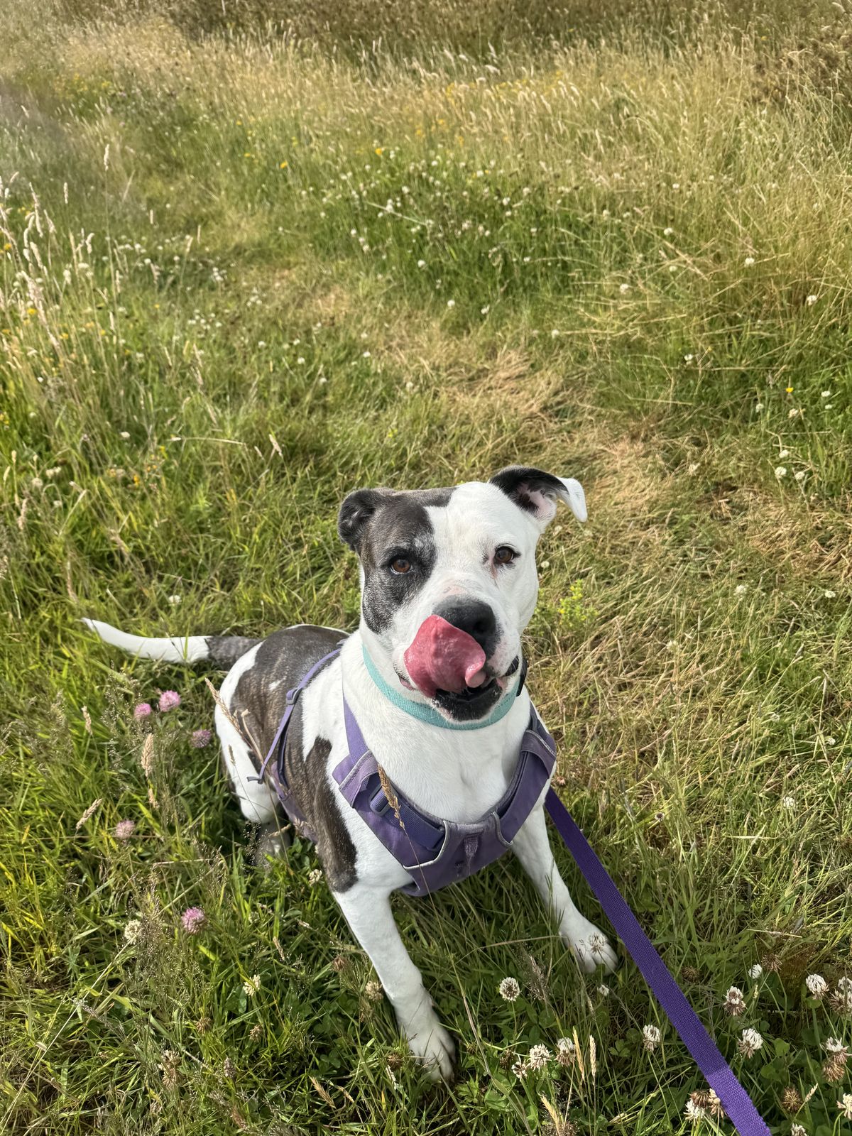 Gallery image: Haiden