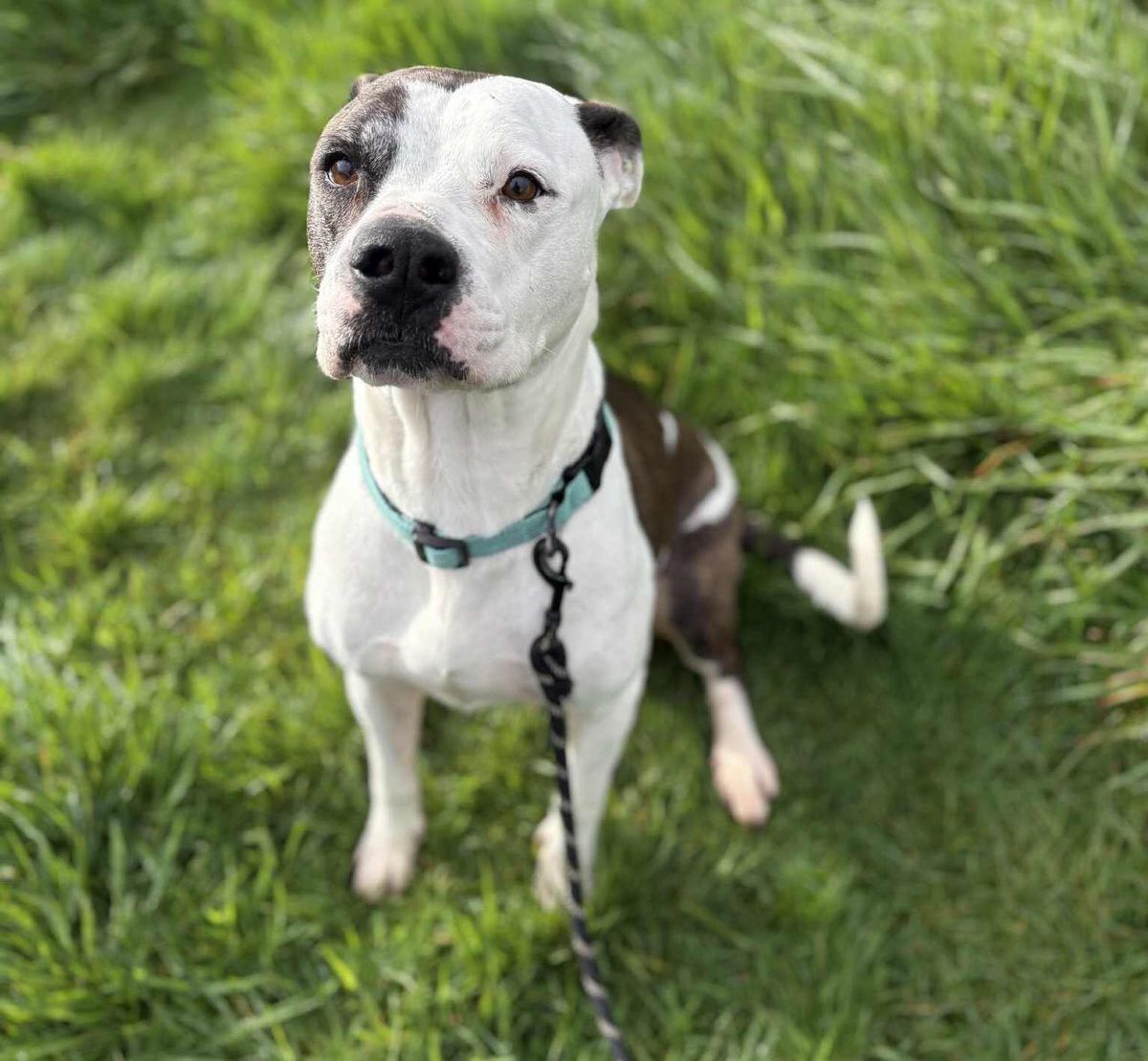 Gallery image: Haiden