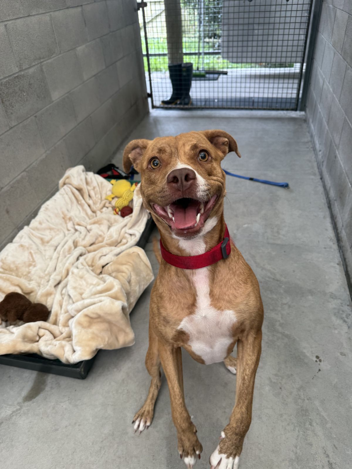 Gallery image: Annie