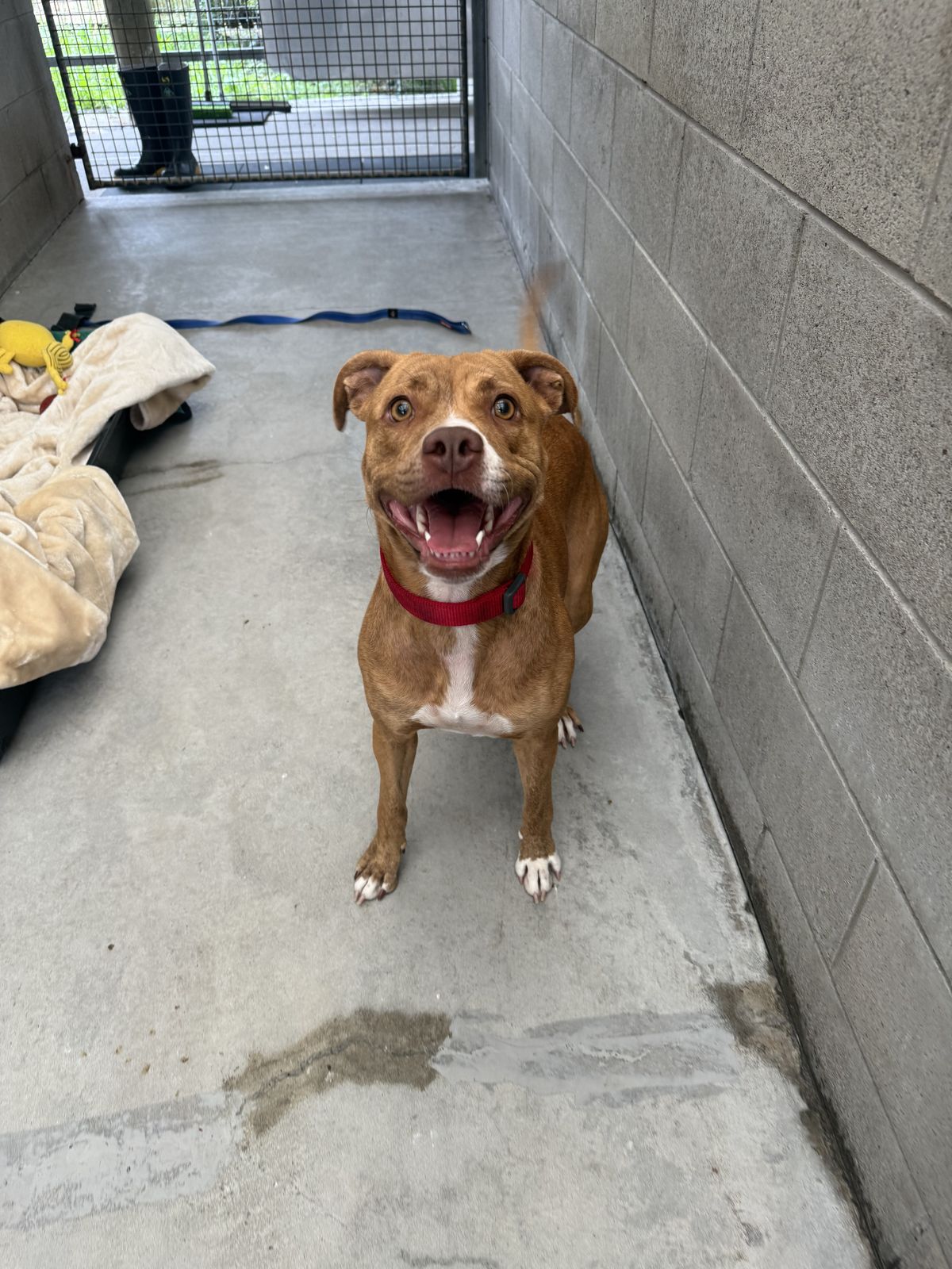 Gallery image: Annie