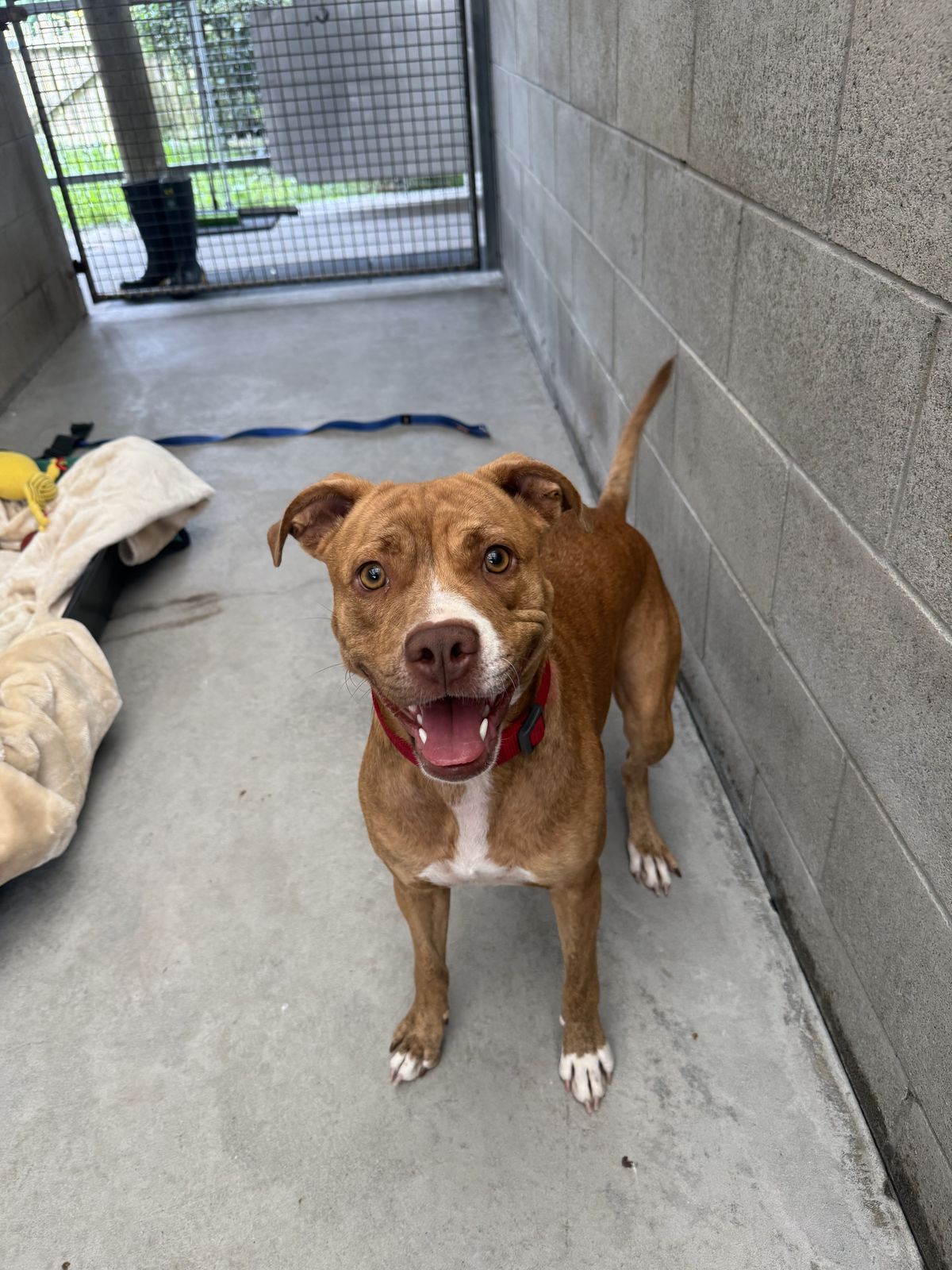 Gallery image: Annie