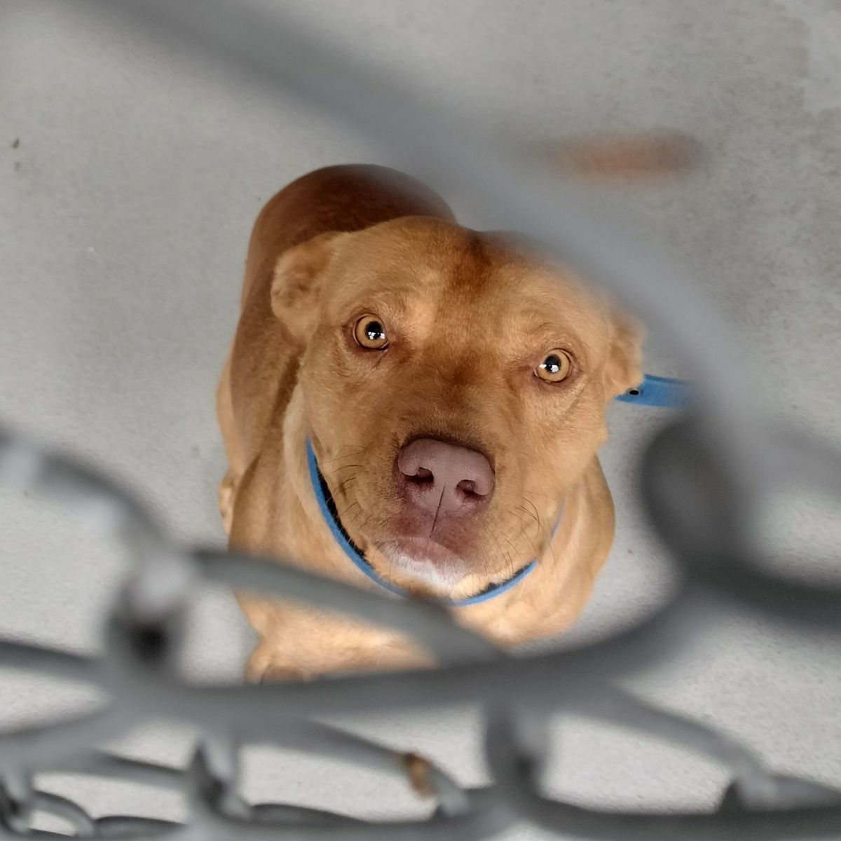 Gallery image: Gunner