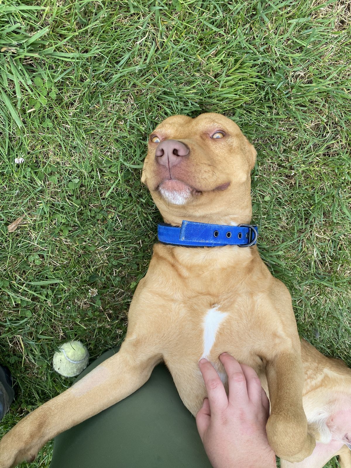 Gallery image: Gunner