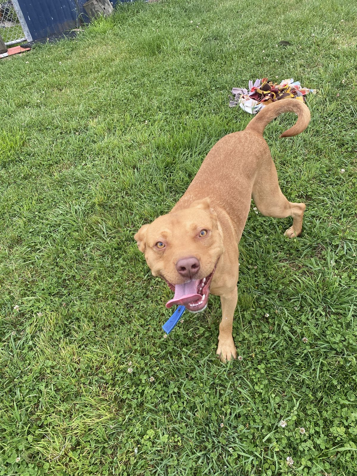 Gallery image: Gunner