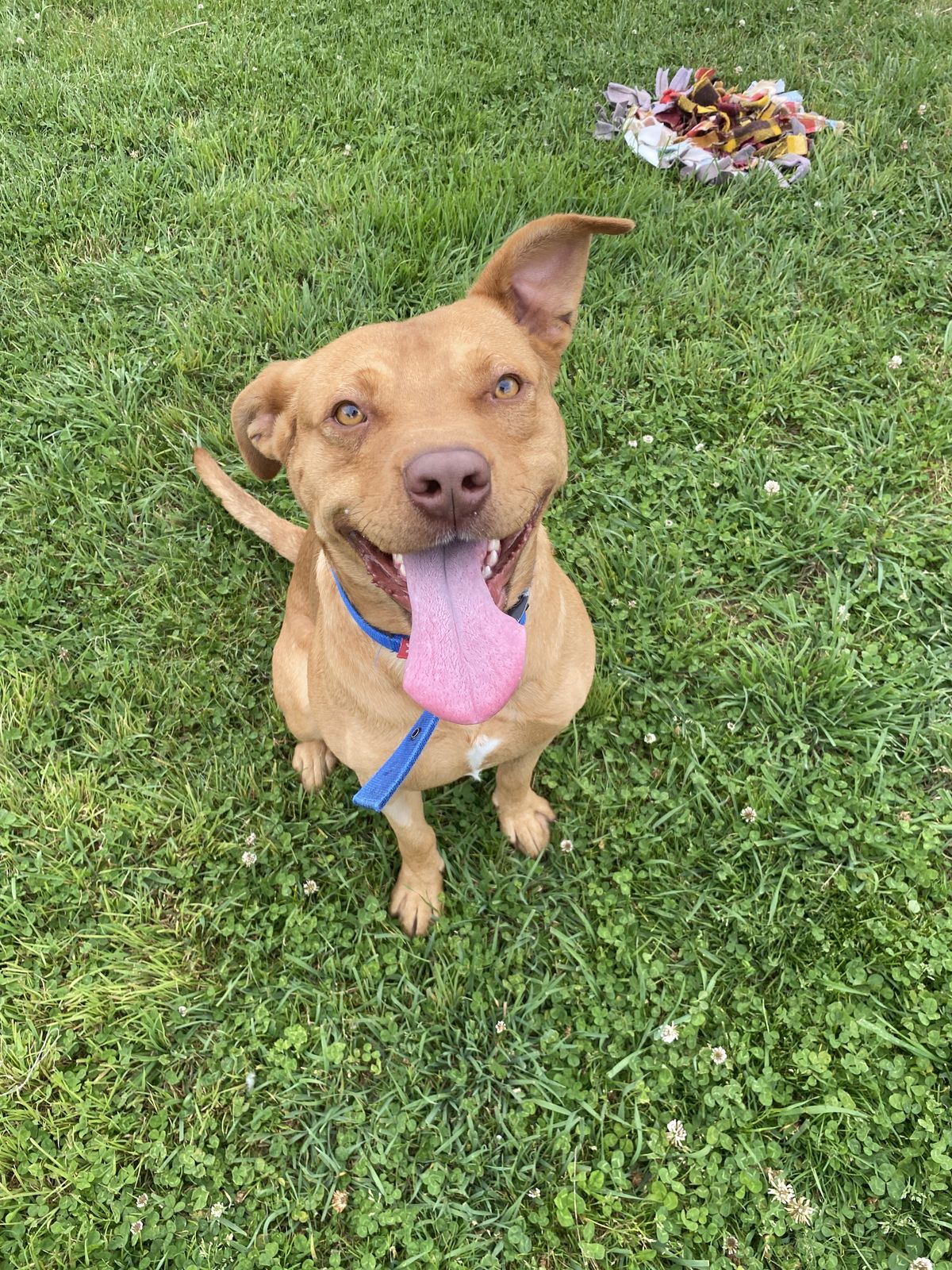 Gallery image: Gunner