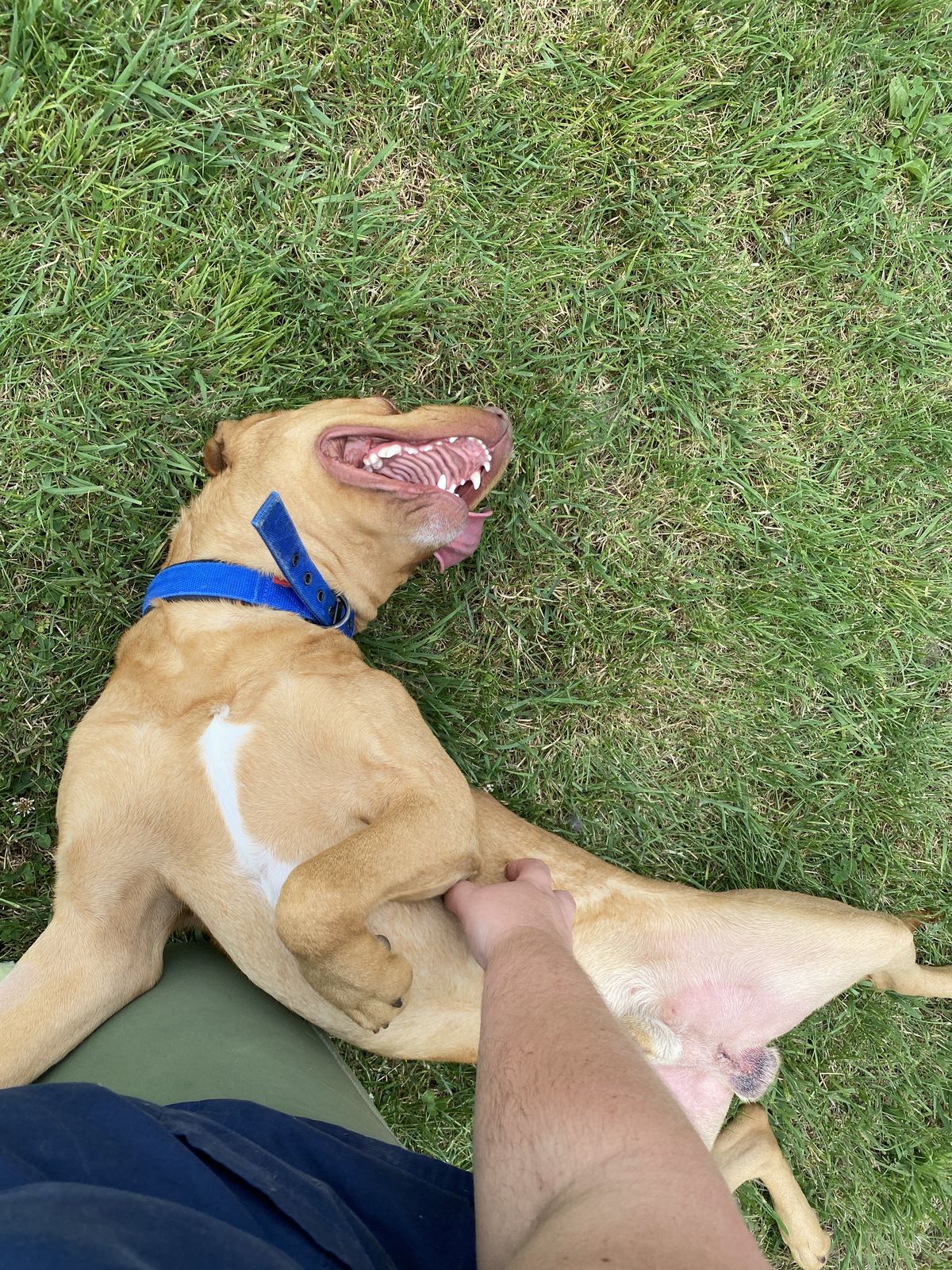 Gallery image: Gunner