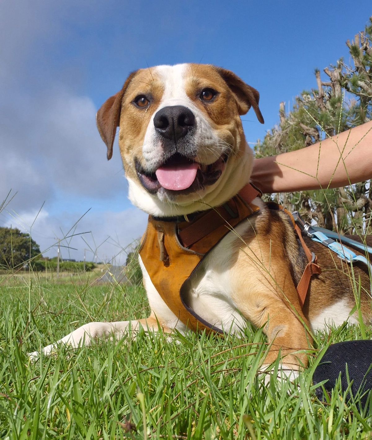 Gallery image: Murphy