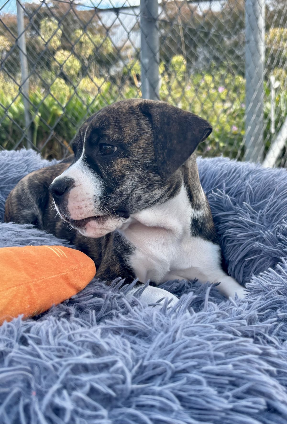 Gallery image: Whisky