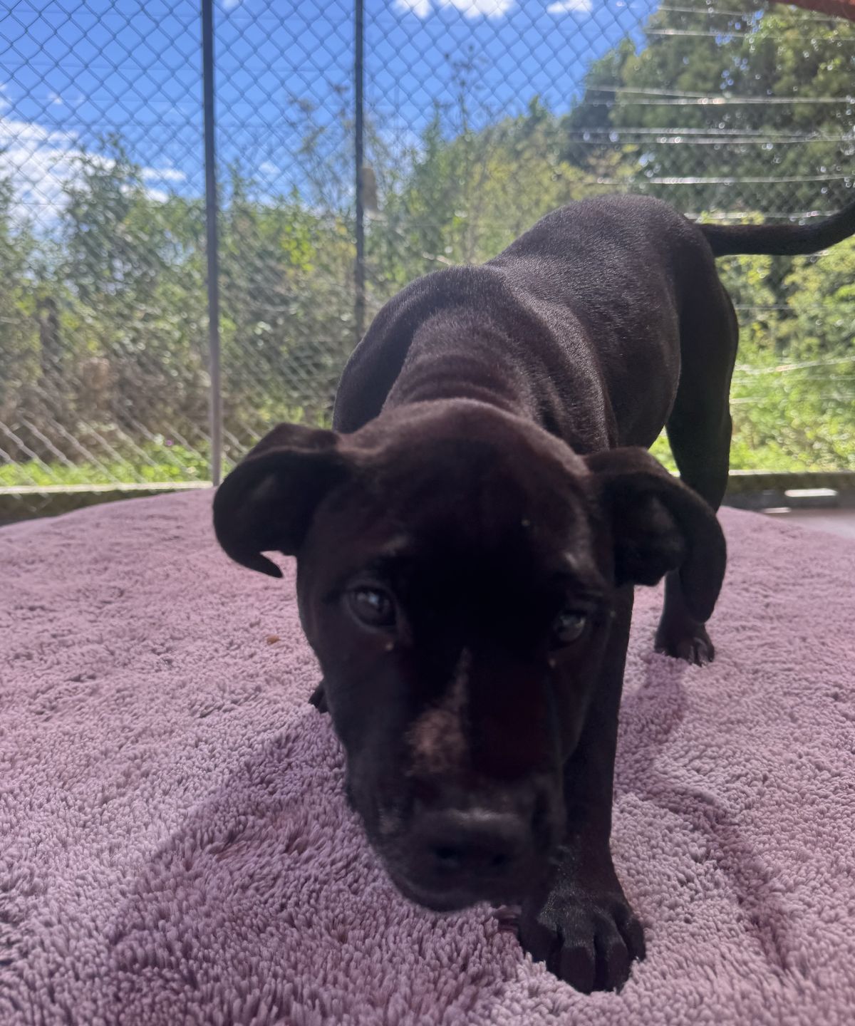 Gallery image: Milly