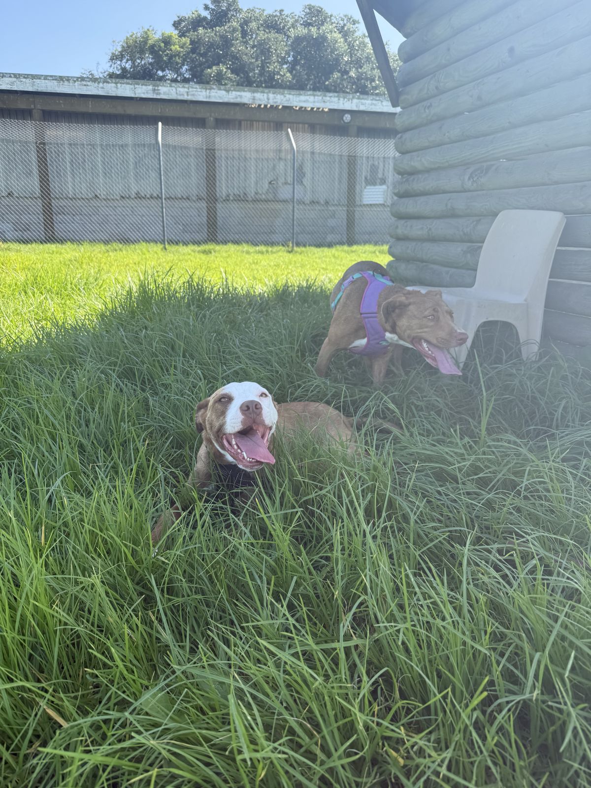 Gallery image: Princess Peach