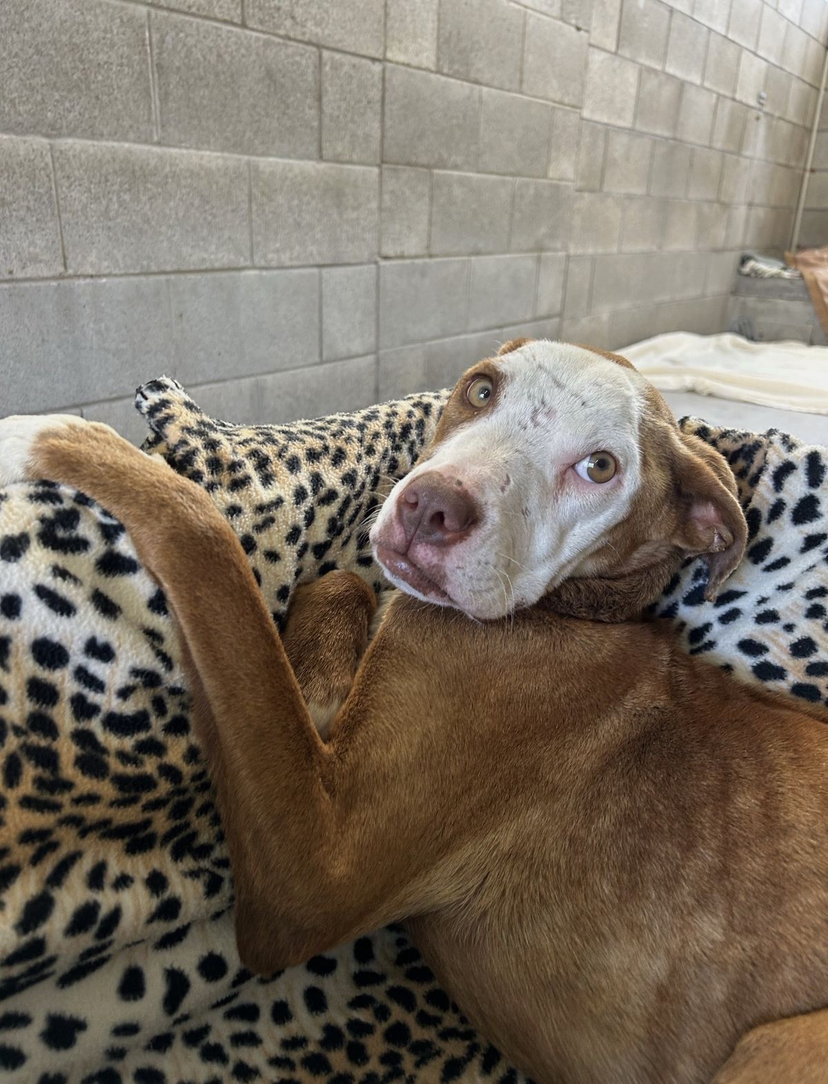 Gallery image: Princess Peach