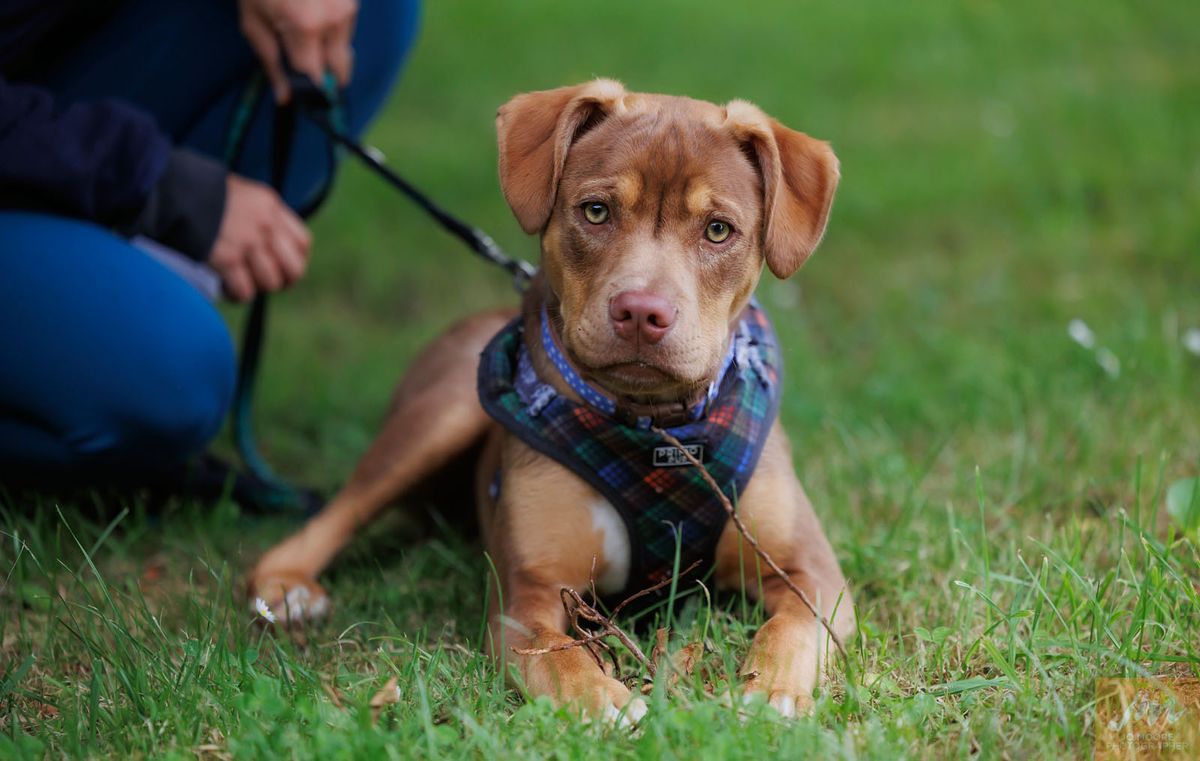 Gallery image: Frodo