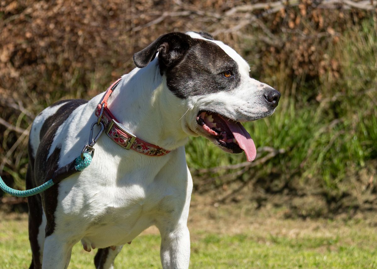 Gallery image: Haiden