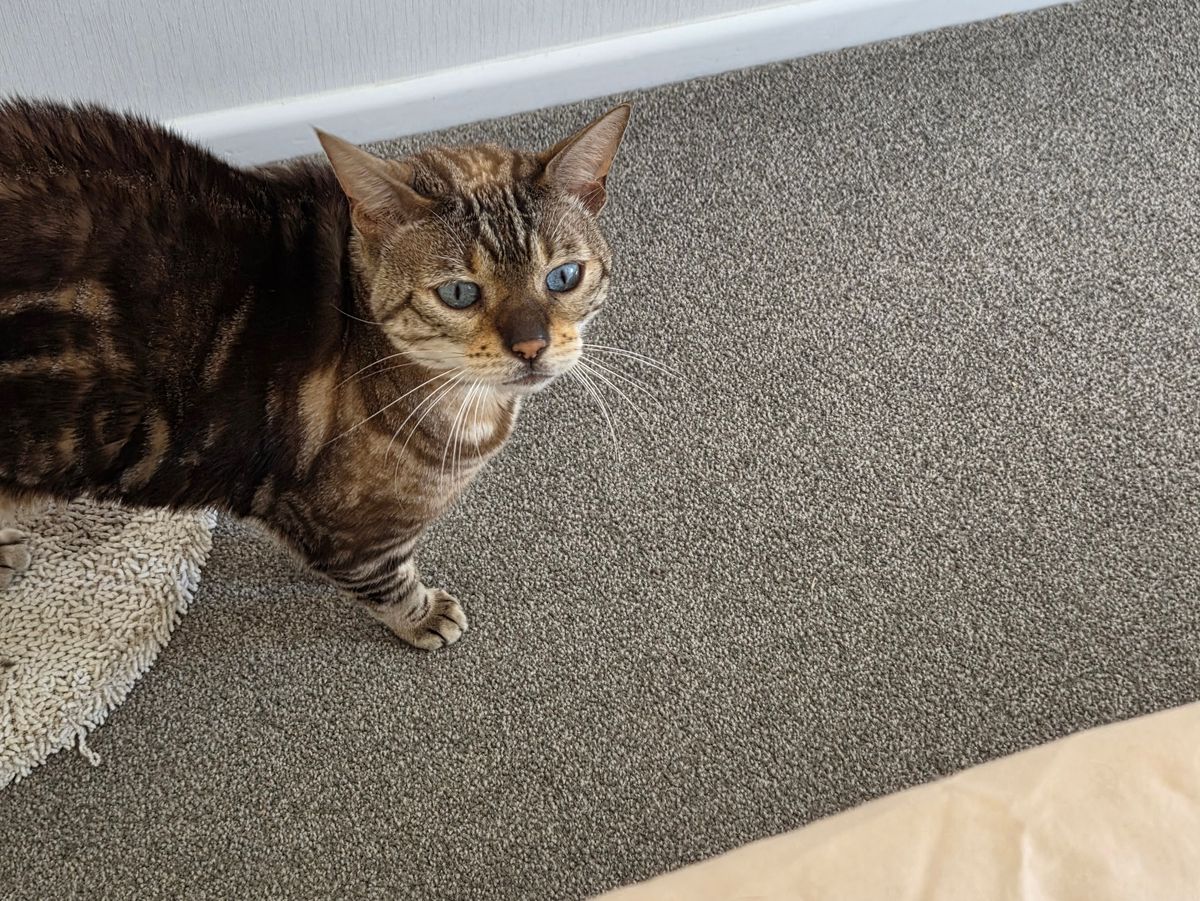 Gallery image: Hella