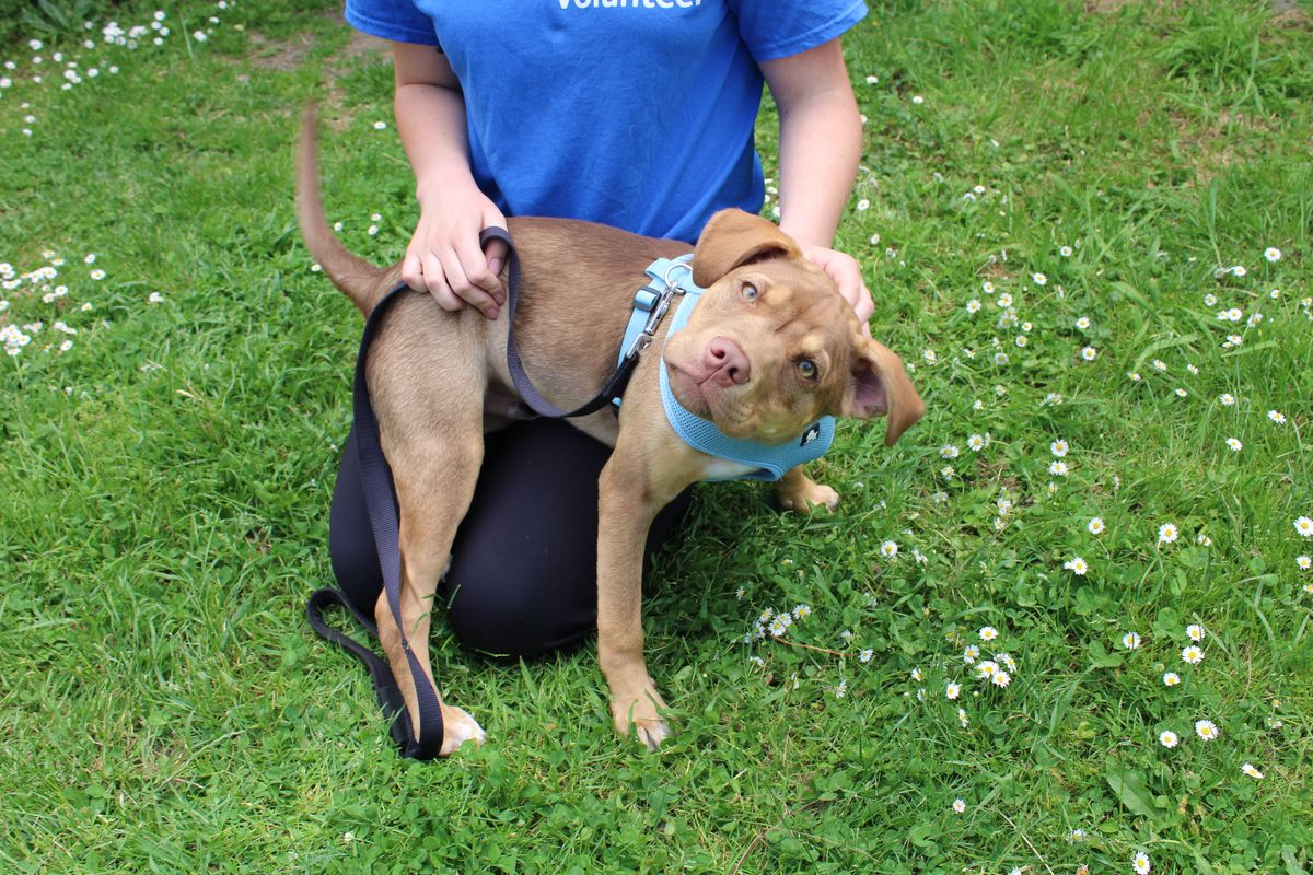 Gallery image: Frodo