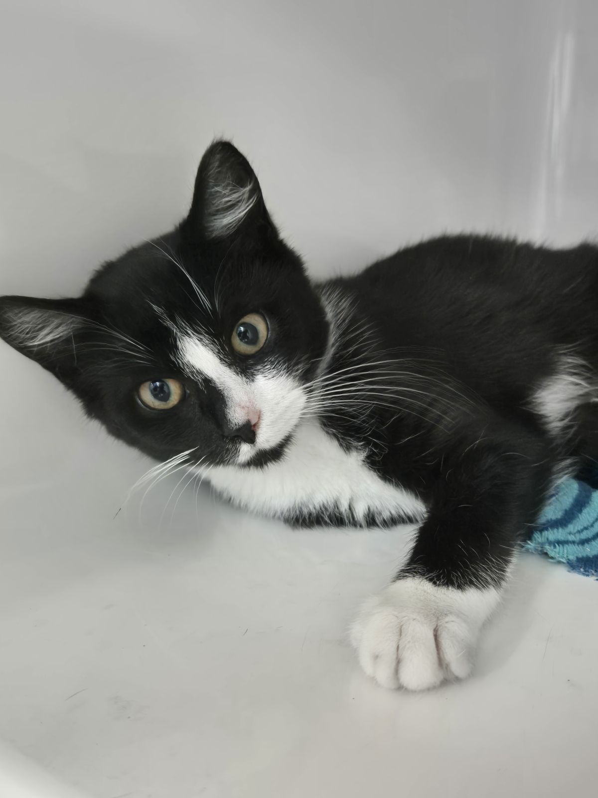 Gallery image: Hailey