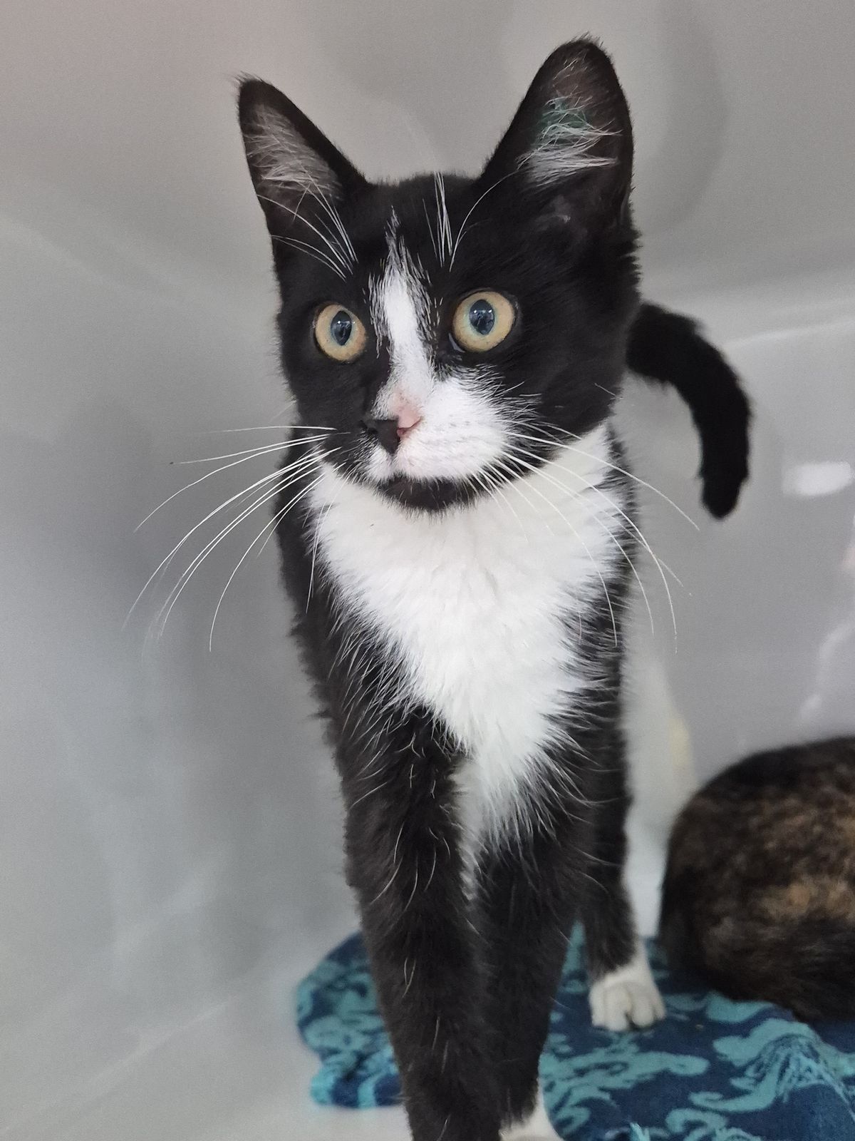 Gallery image: Hailey