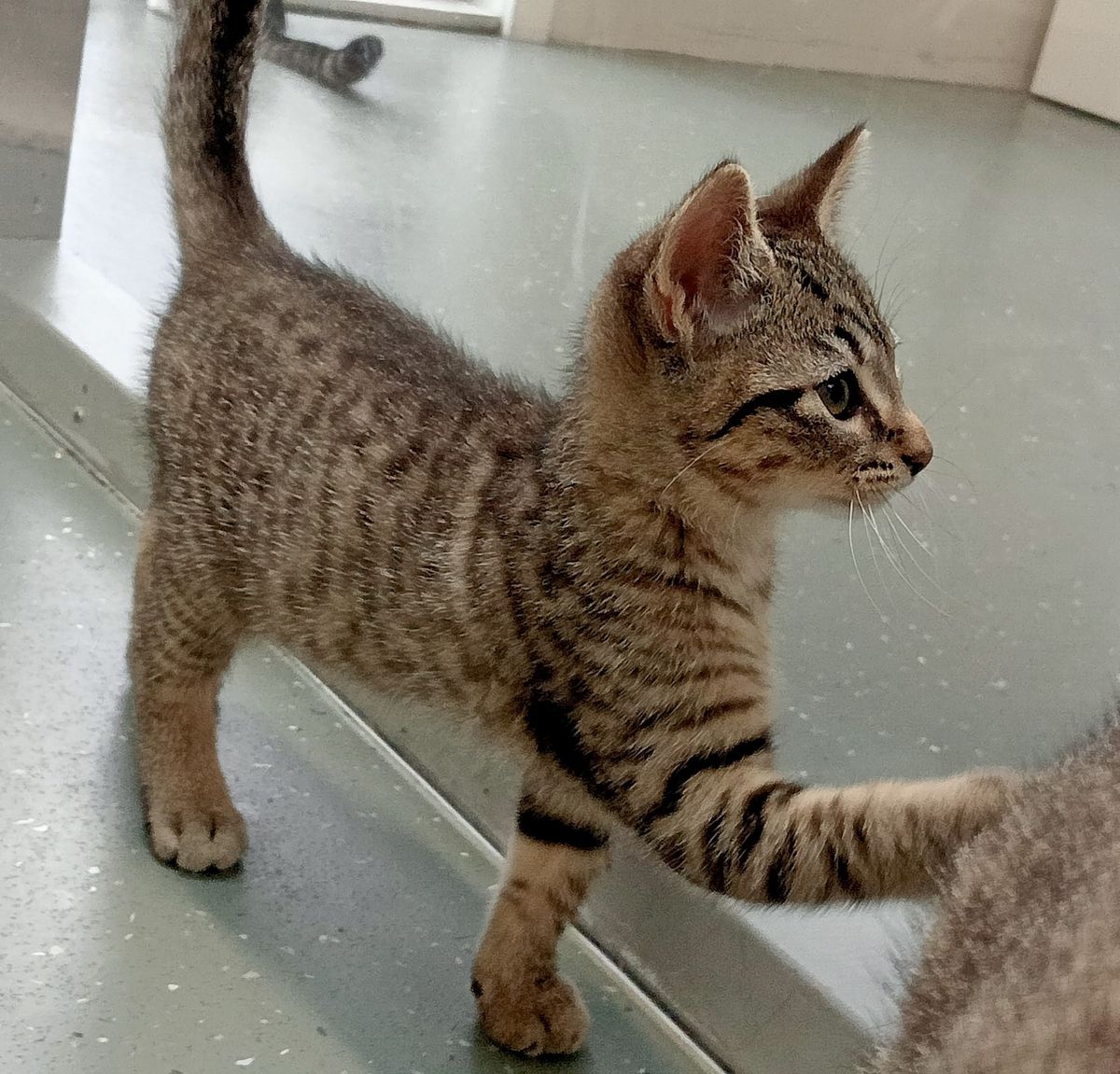 Gallery image: Flint