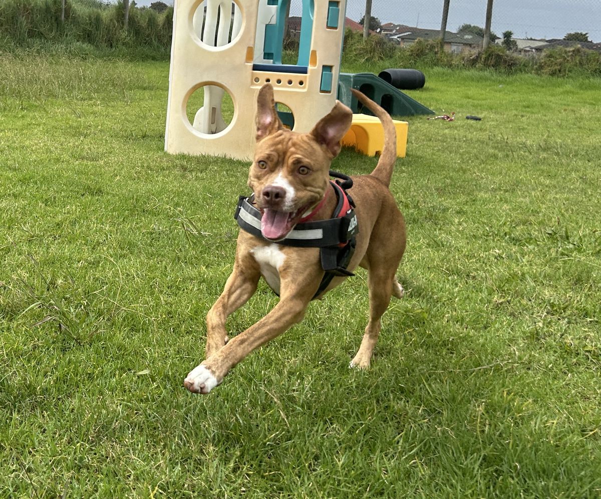 Gallery image: Annie