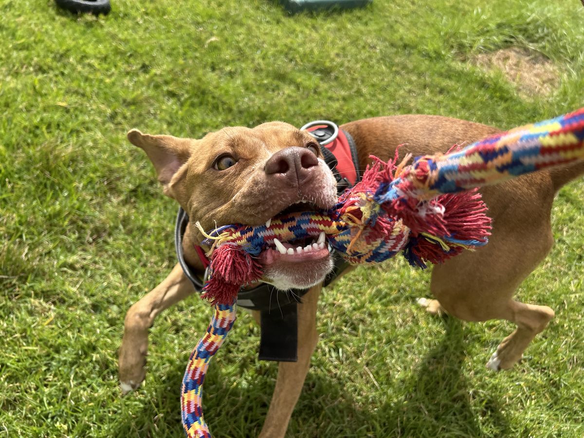 Gallery image: Annie