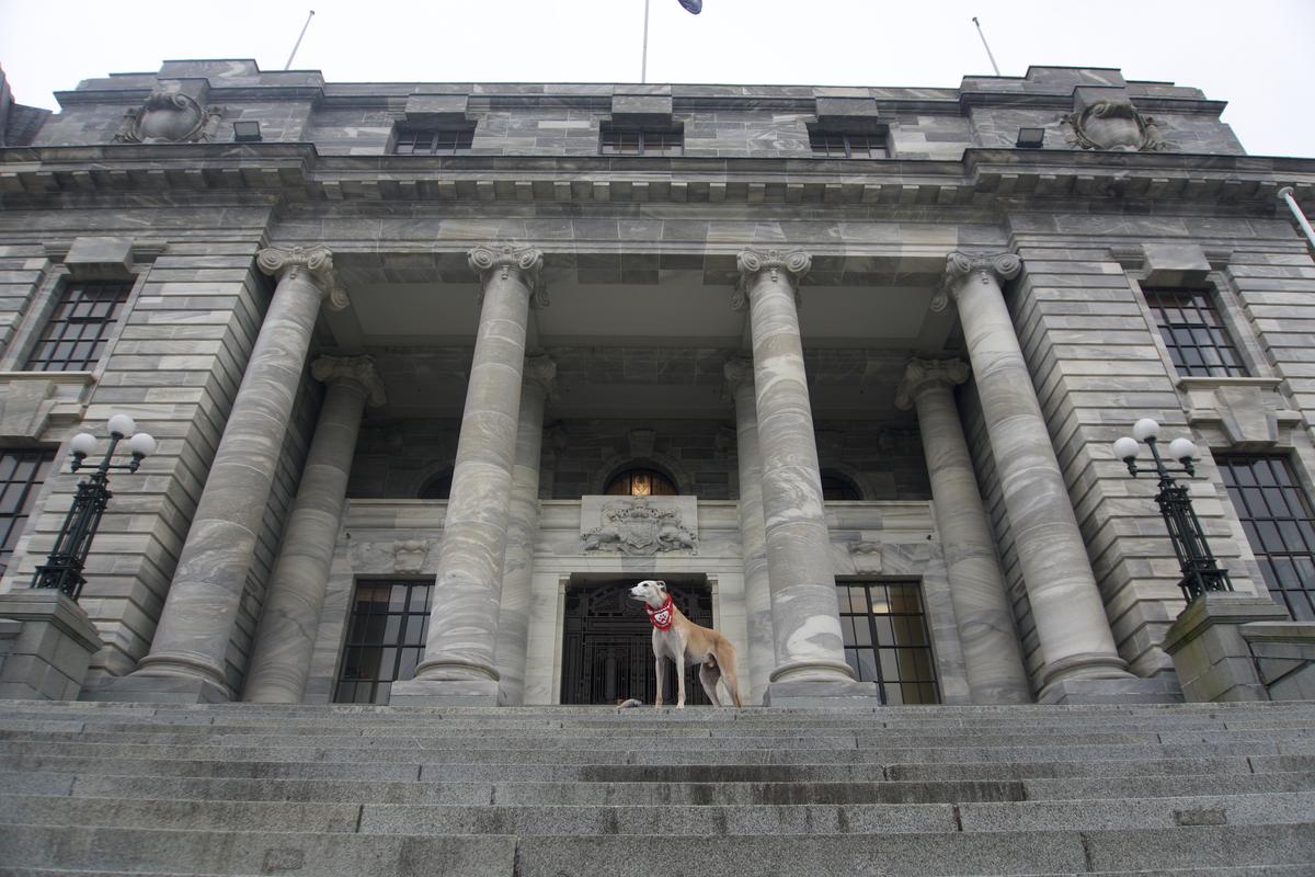 Greyhound racing ban crosses the finish line to become law 