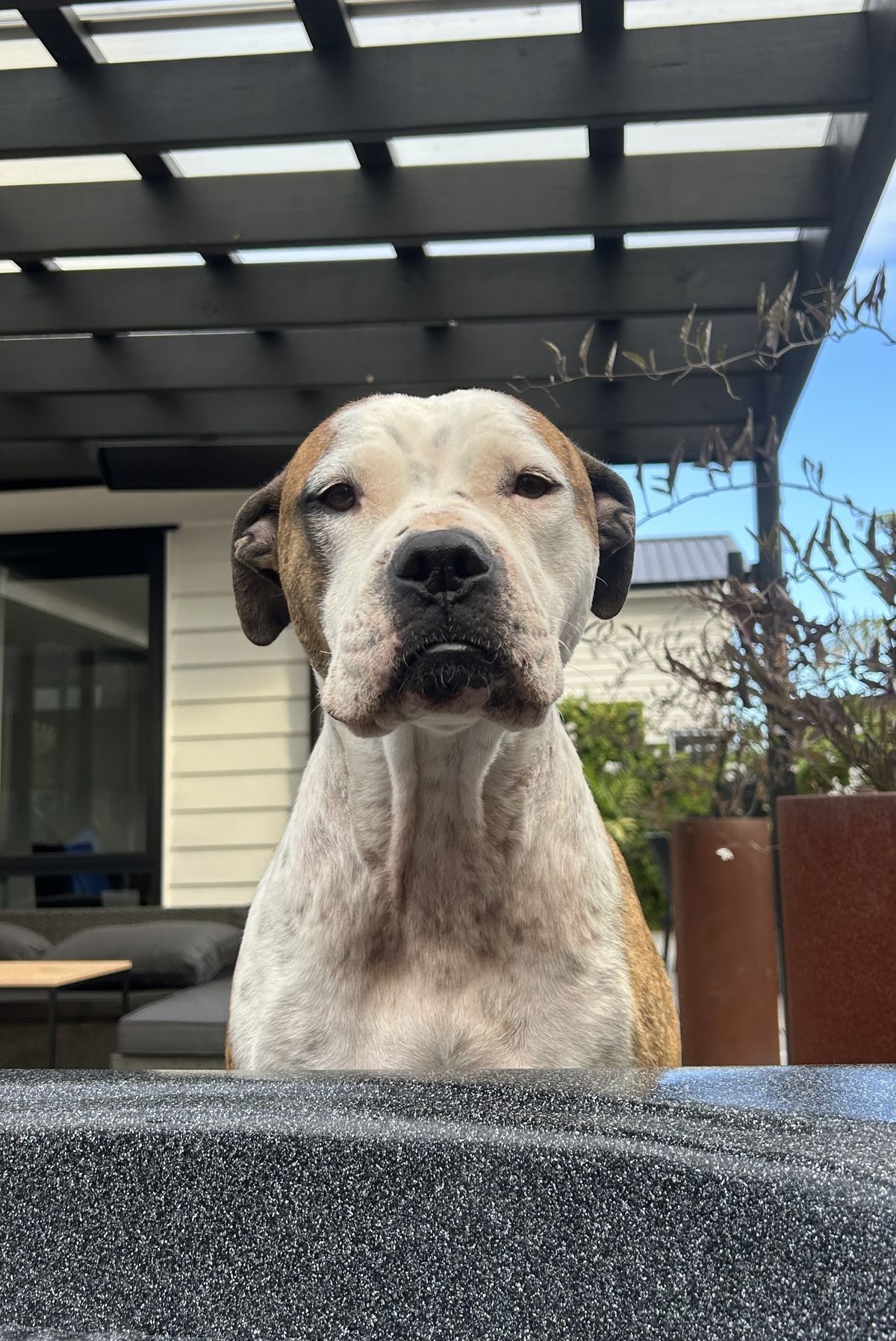 Gallery image: Lillian