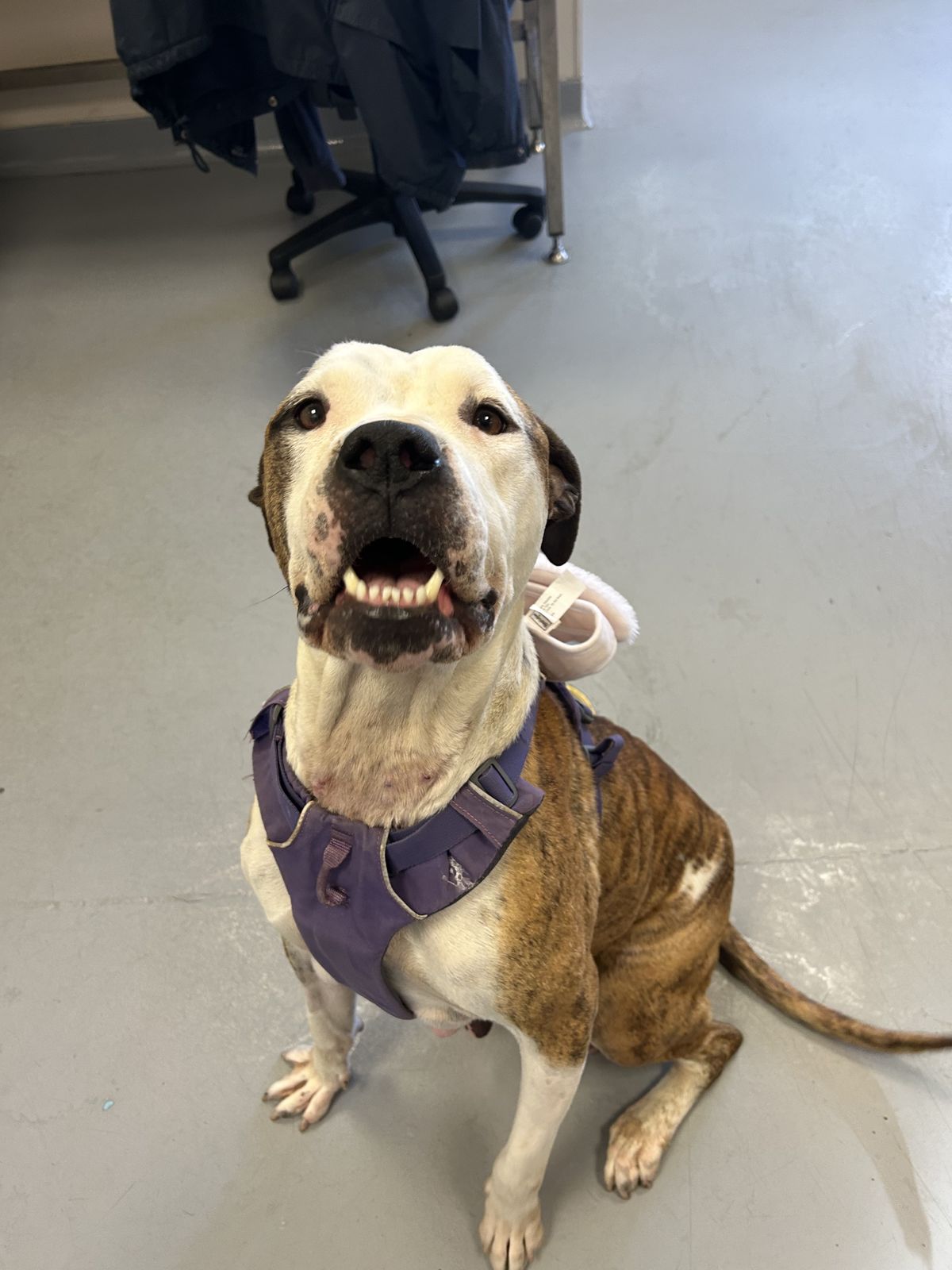 Gallery image: Lillian