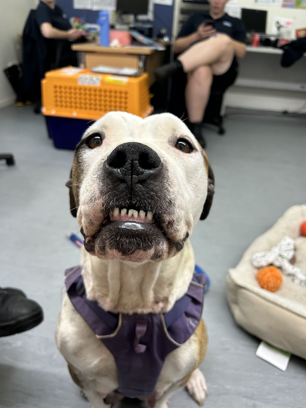 Gallery image: Lillian