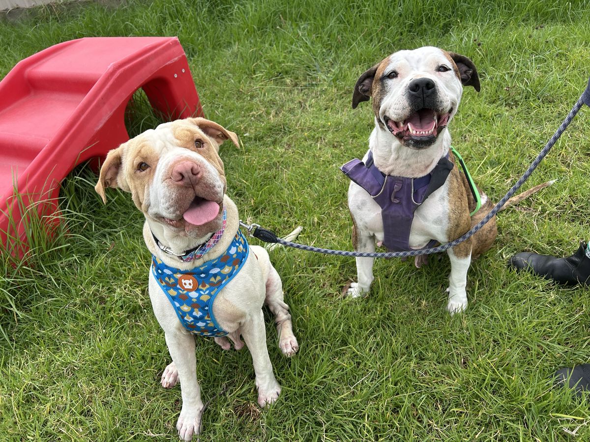 Gallery image: Lillian