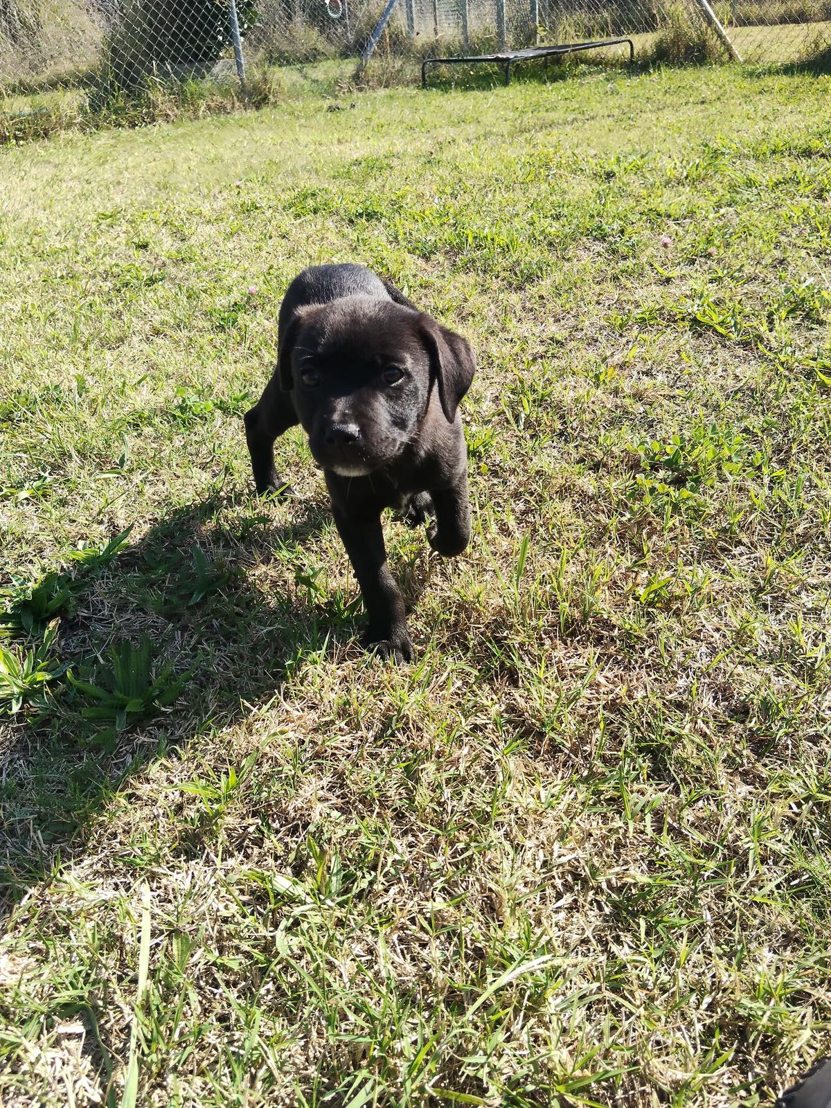 Gallery image: Bowie