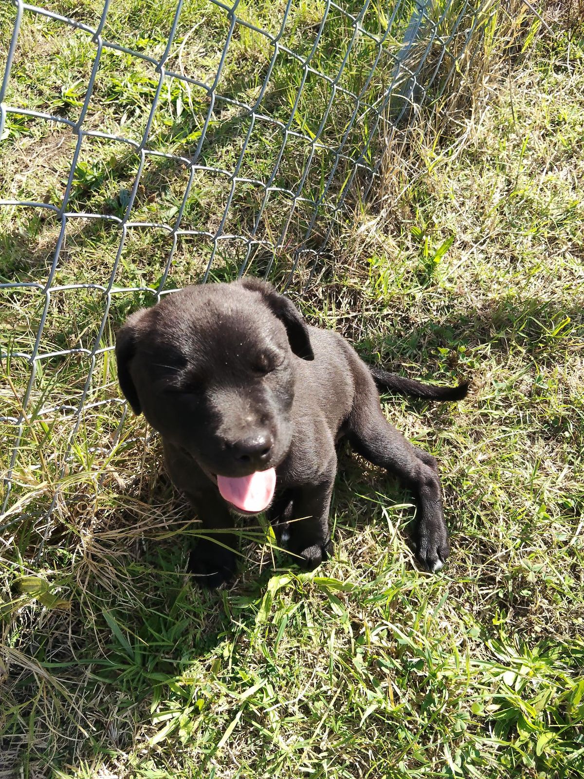 Gallery image: Bowie