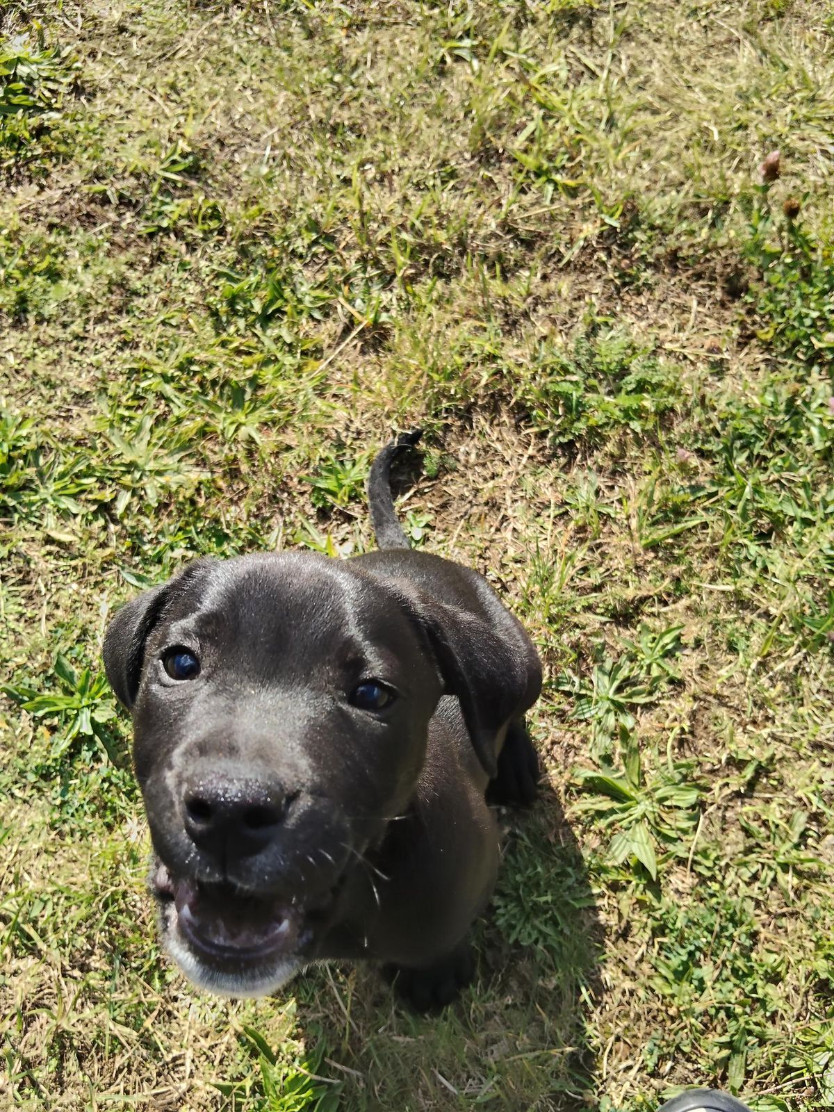 Gallery image: Lennon