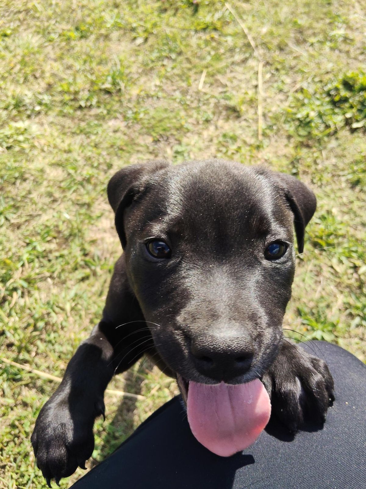 Gallery image: Lennon